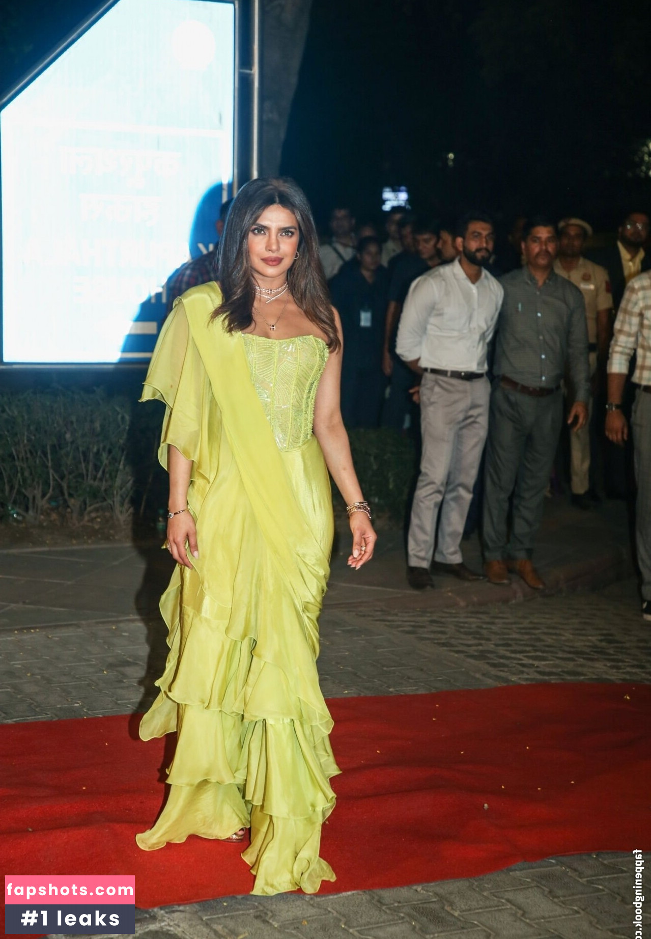 Priyanka Chopra gallery photo #128