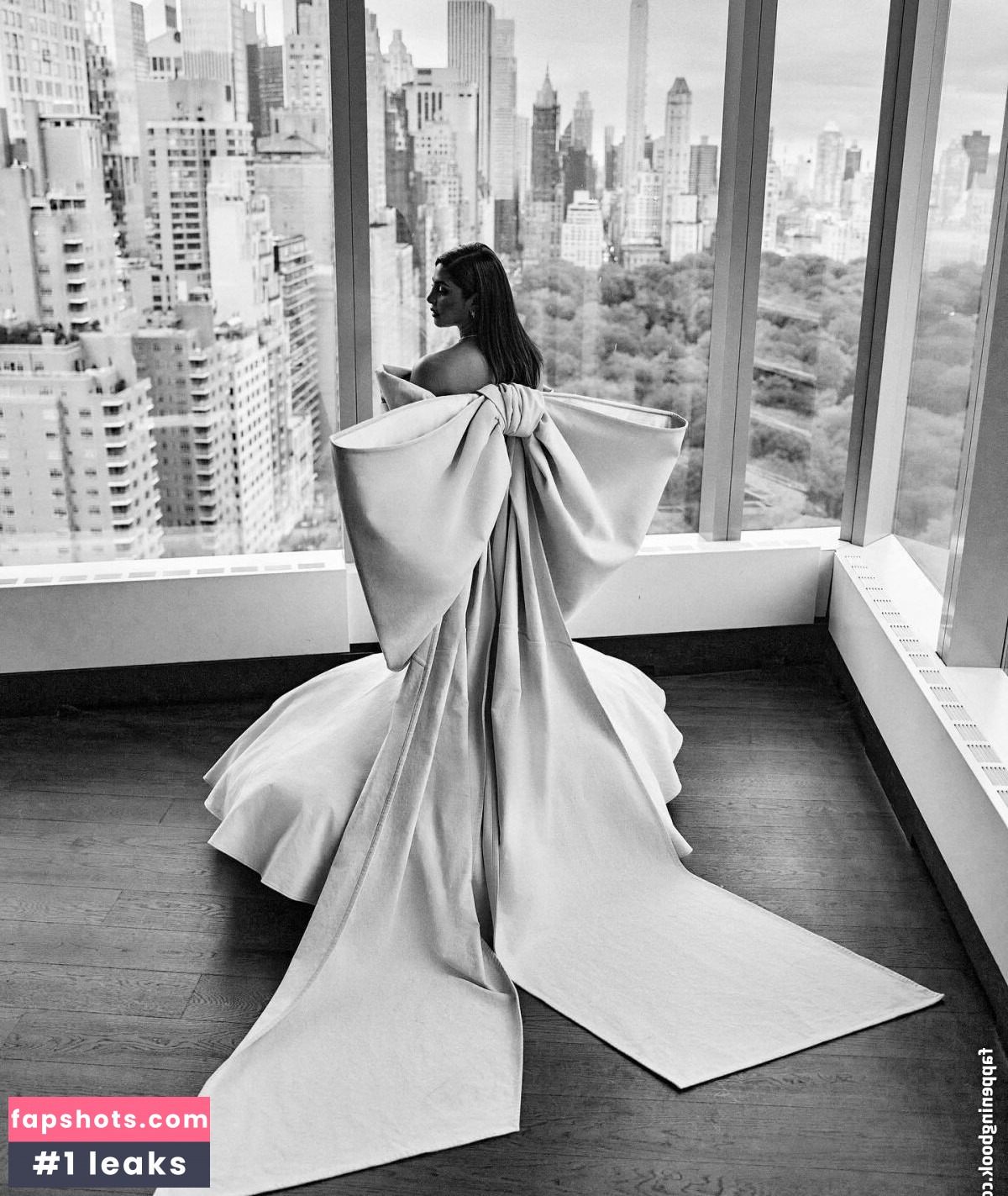 Priyanka Chopra gallery photo #155