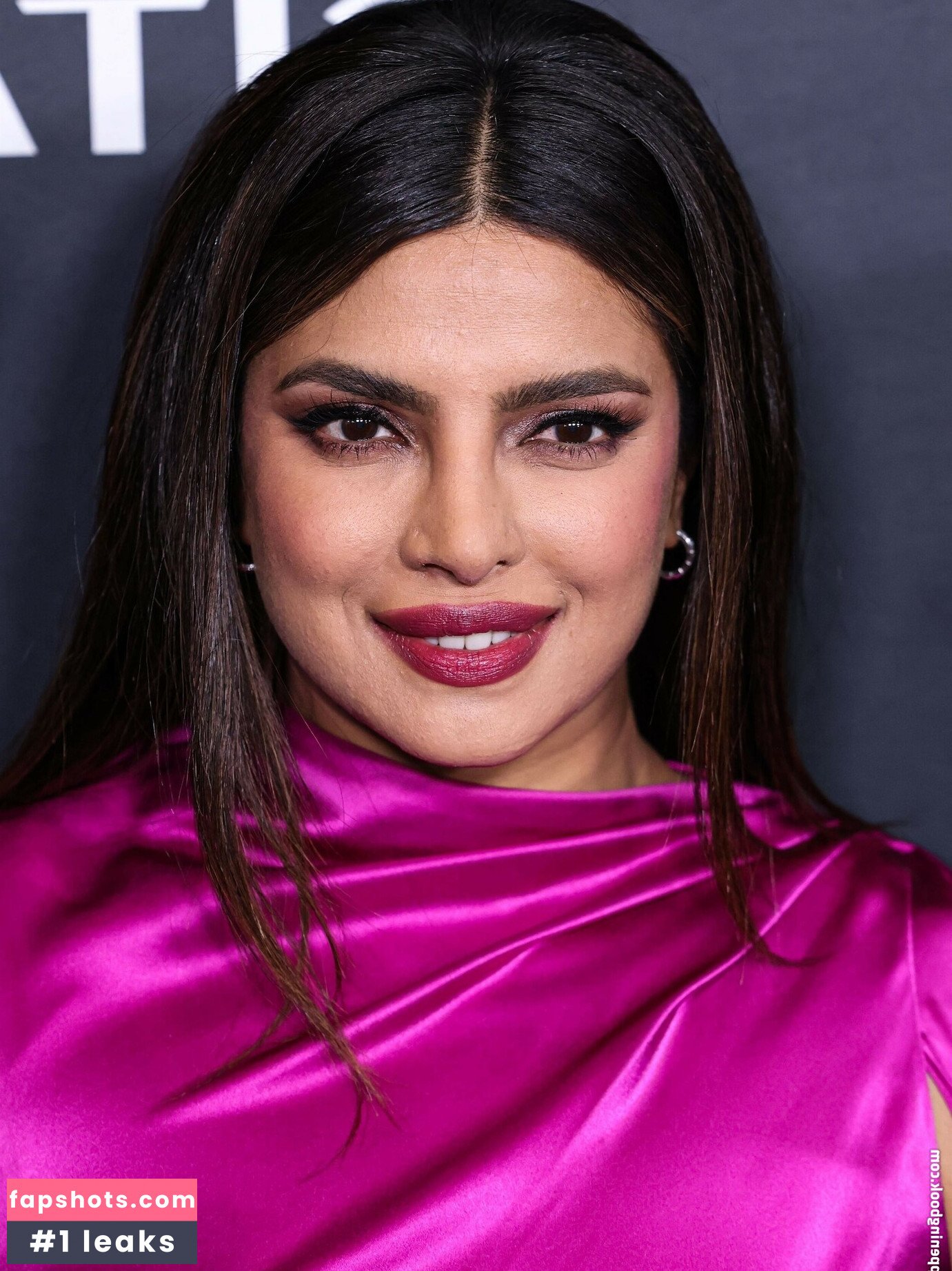 Priyanka Chopra gallery photo #177