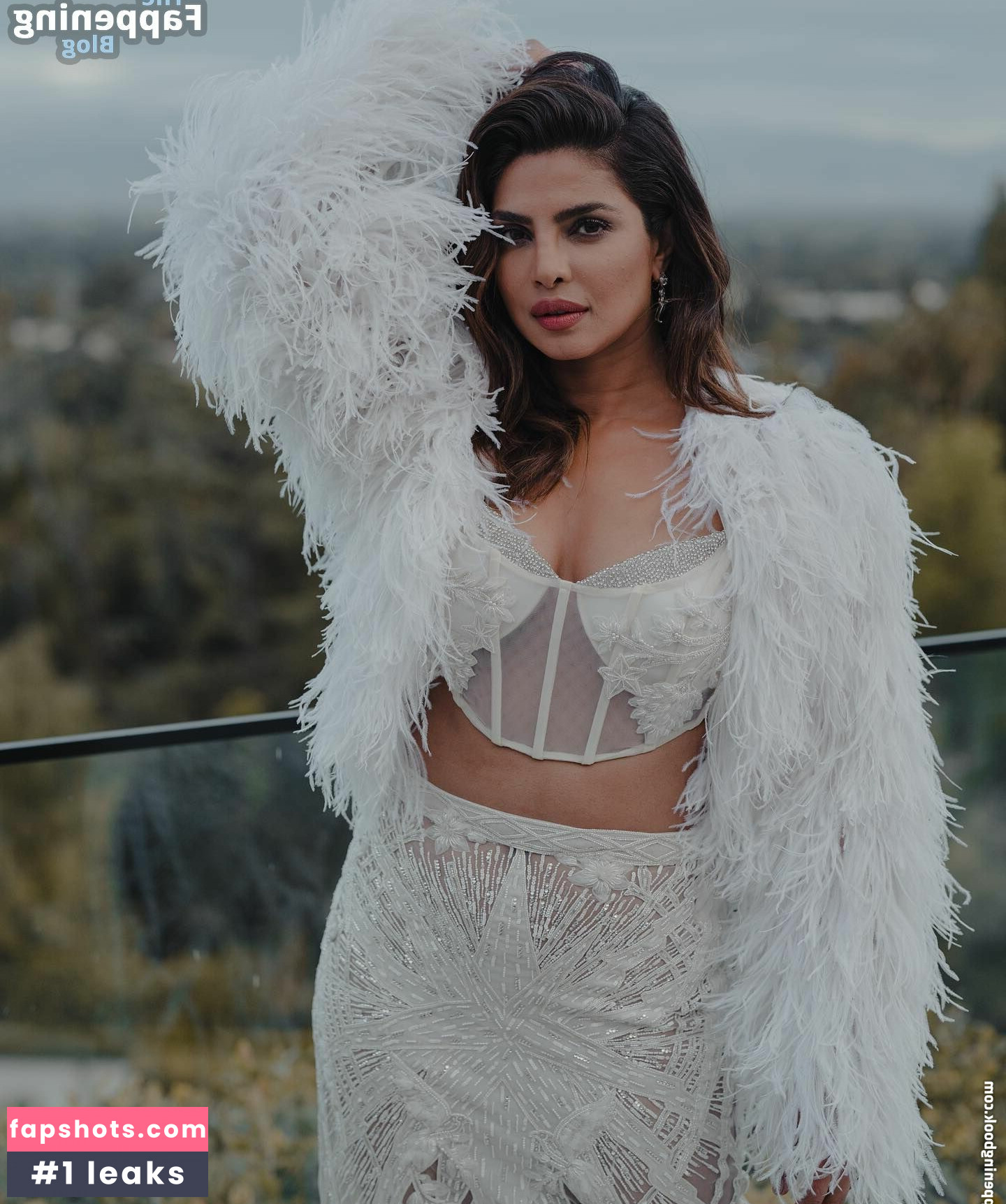 Priyanka Chopra gallery photo #180