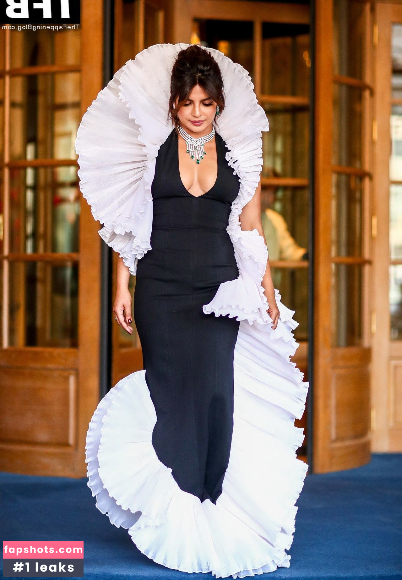 Priyanka Chopra gallery photo #197