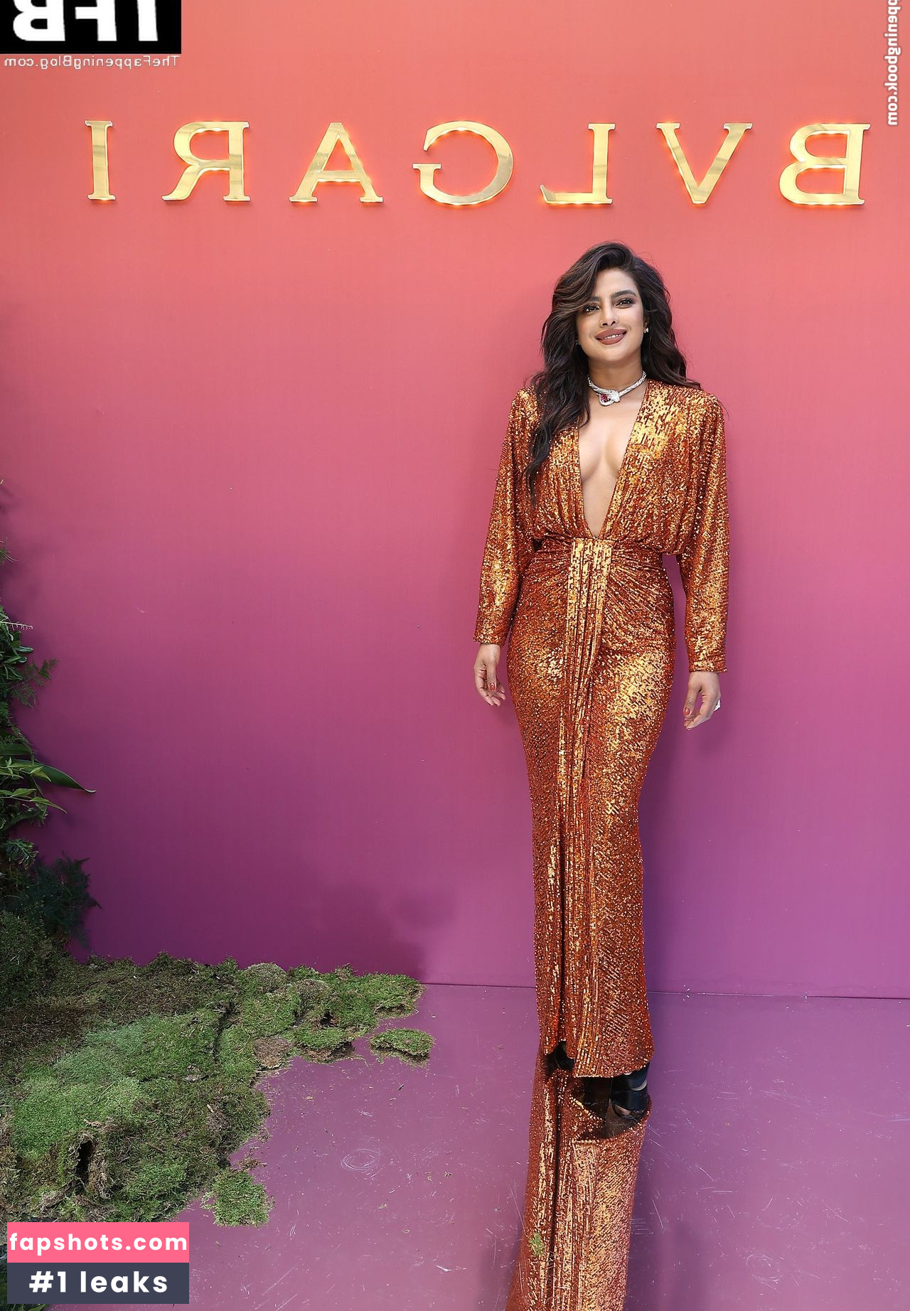 Priyanka Chopra gallery photo #200