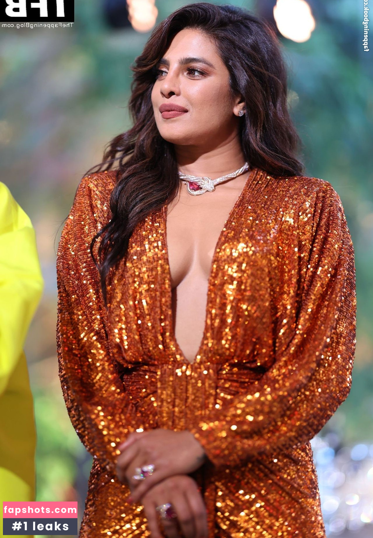 Priyanka Chopra gallery photo #201