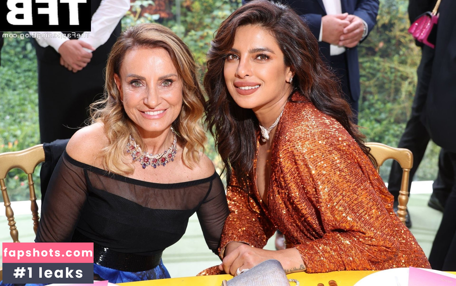 Priyanka Chopra gallery photo #202