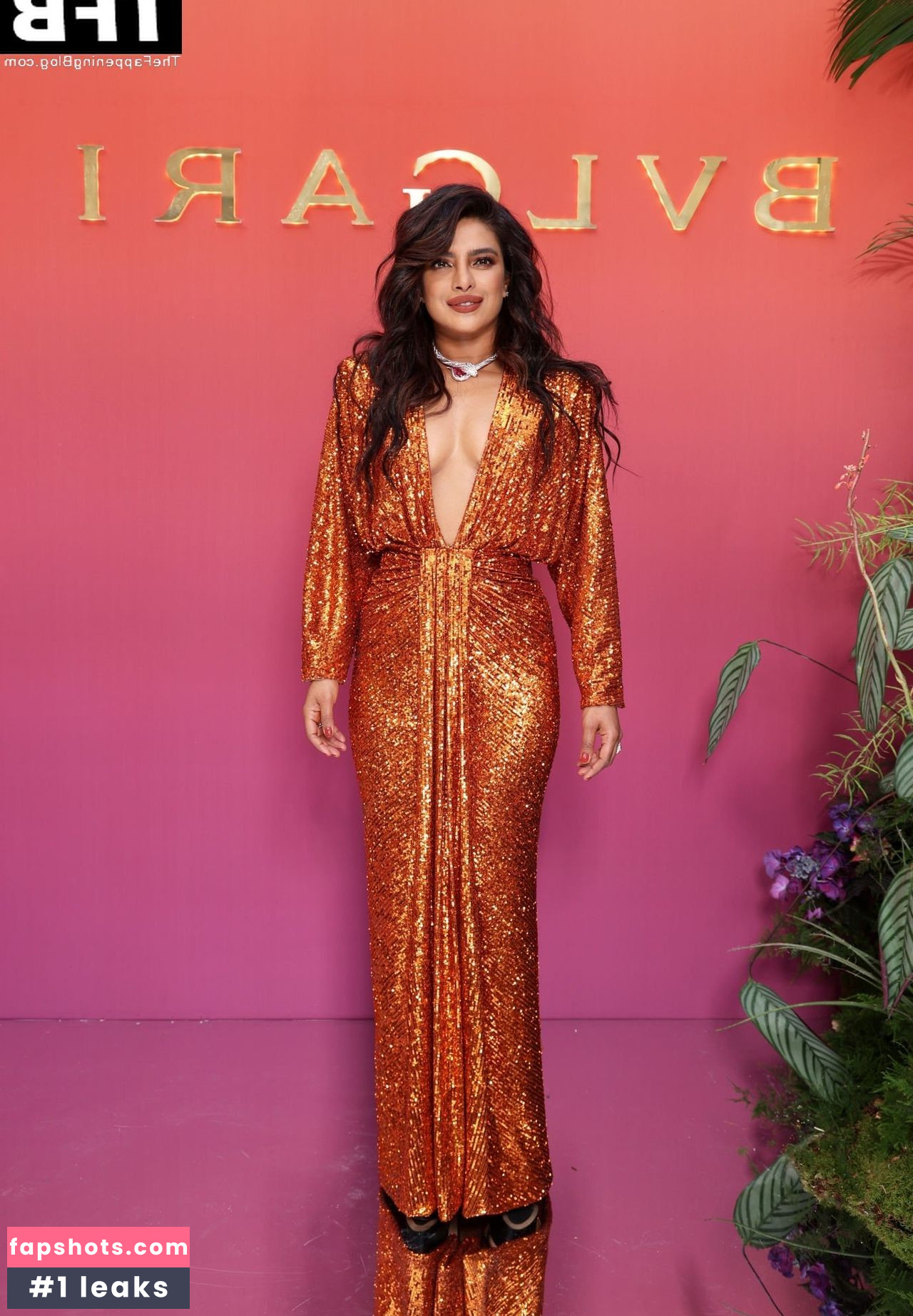 Priyanka Chopra gallery photo #204