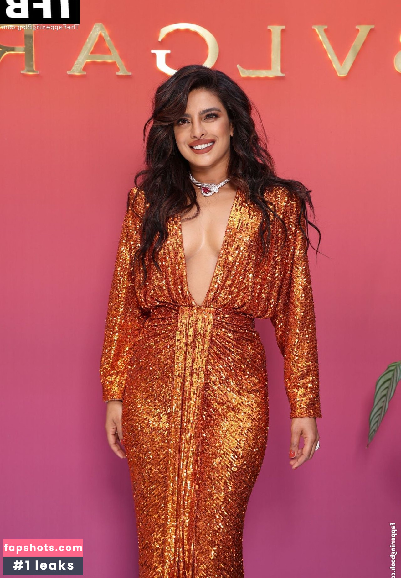 Priyanka Chopra gallery photo #205