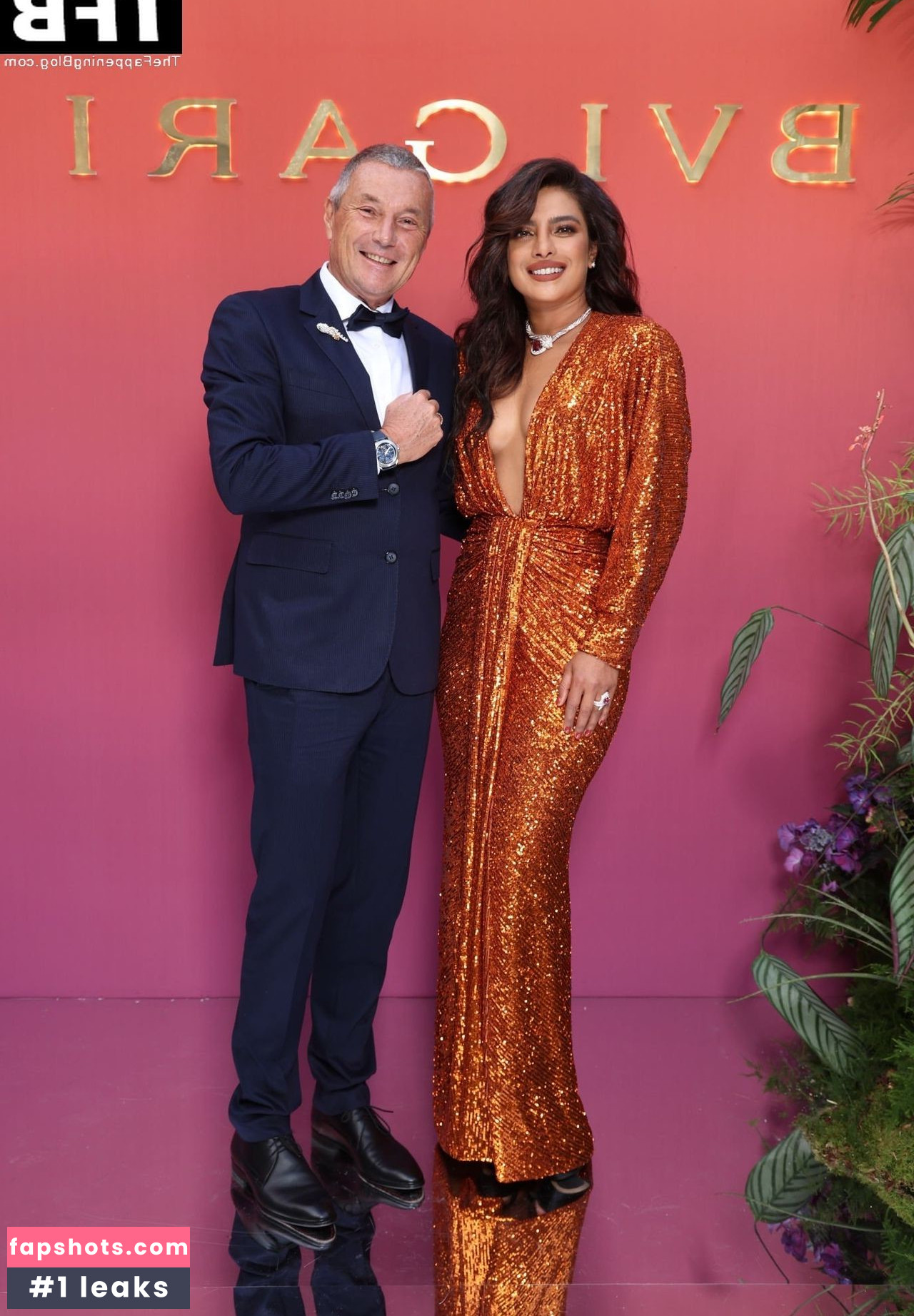 Priyanka Chopra gallery photo #206