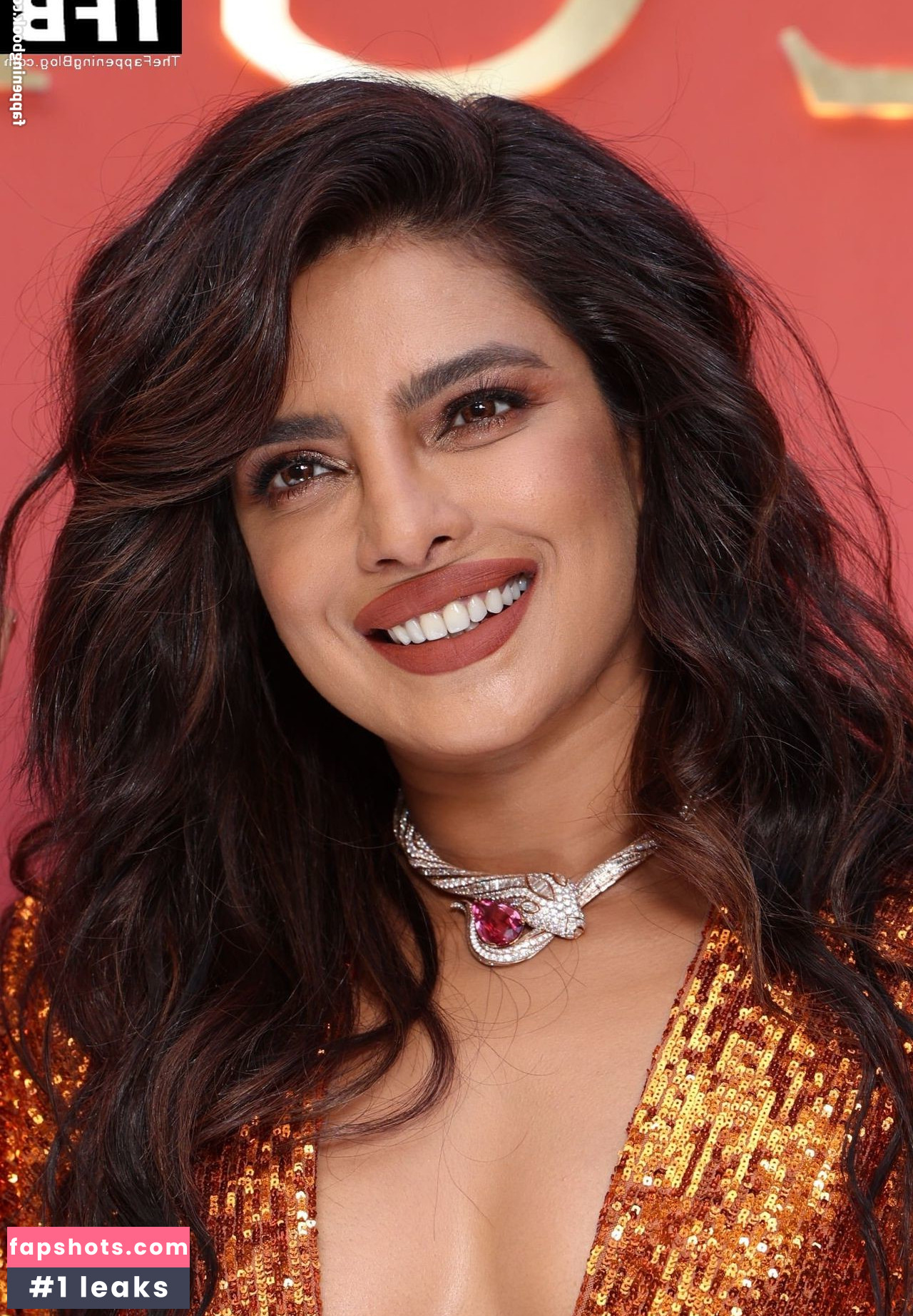 Priyanka Chopra gallery photo #210