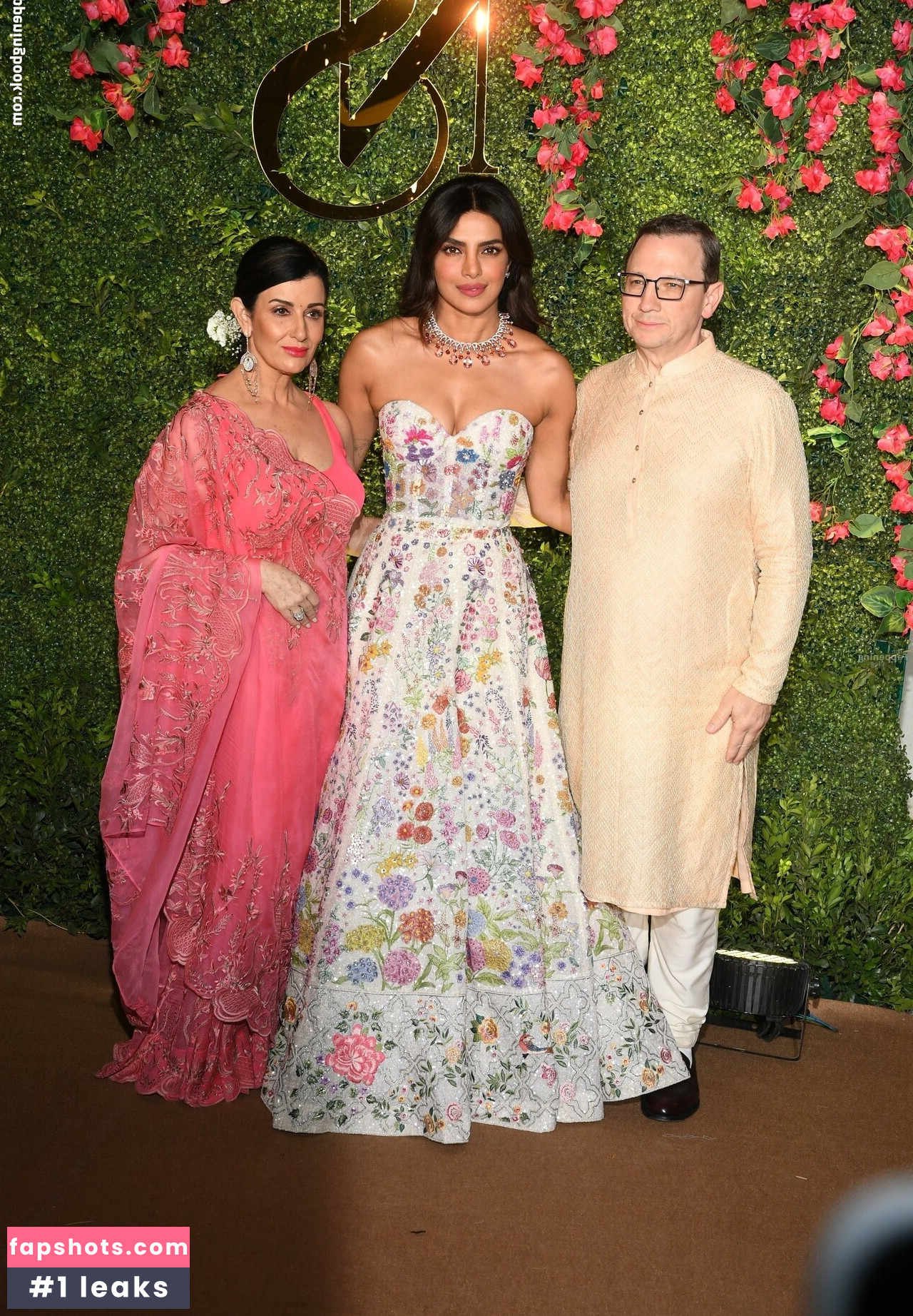 Priyanka Chopra gallery photo #22