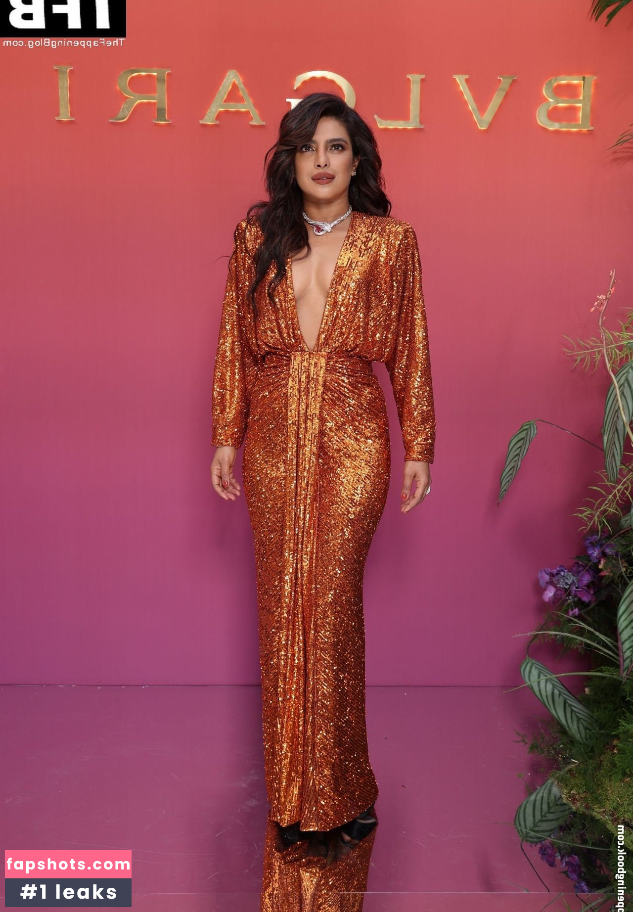 Priyanka Chopra gallery photo #211