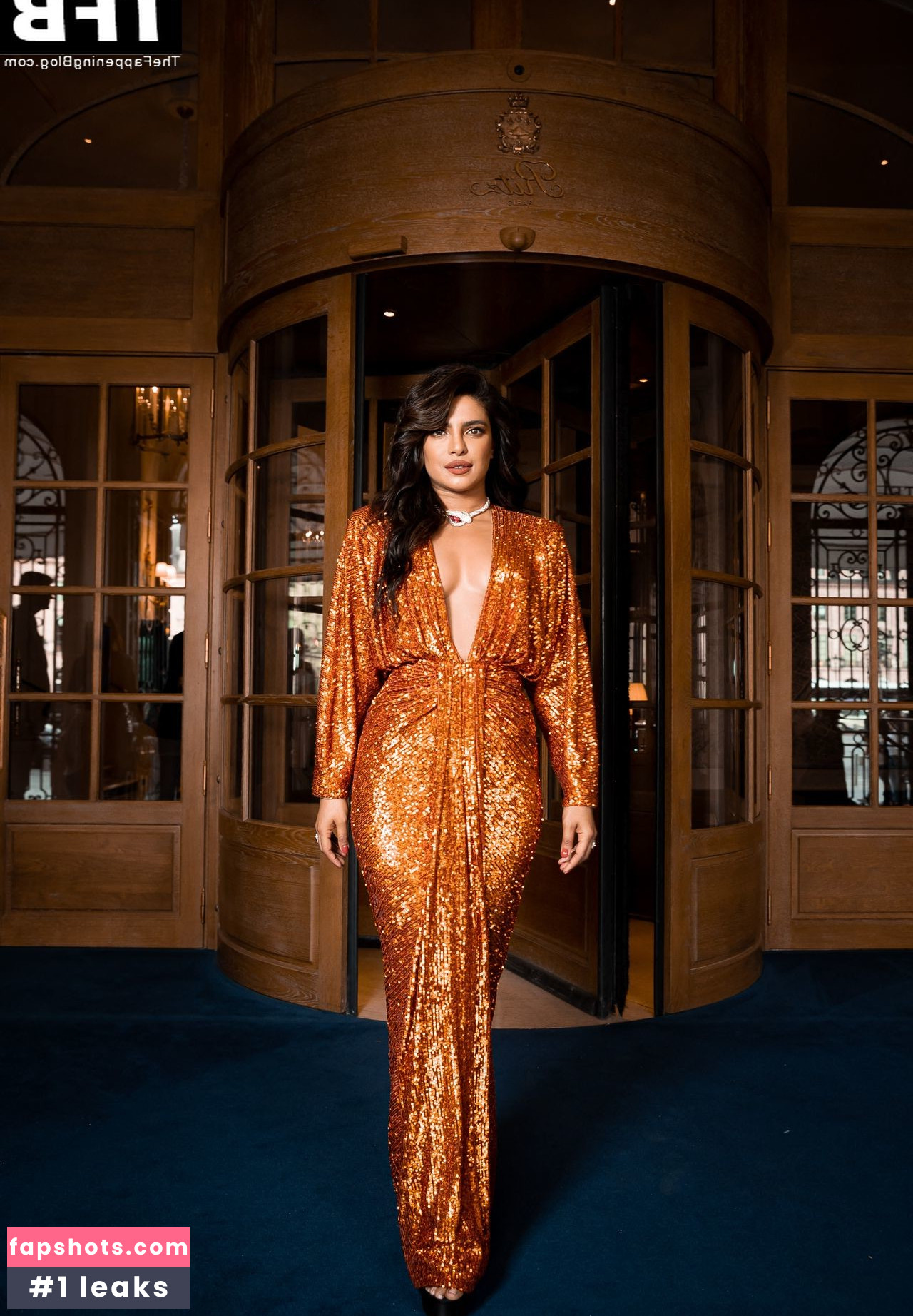 Priyanka Chopra gallery photo #213