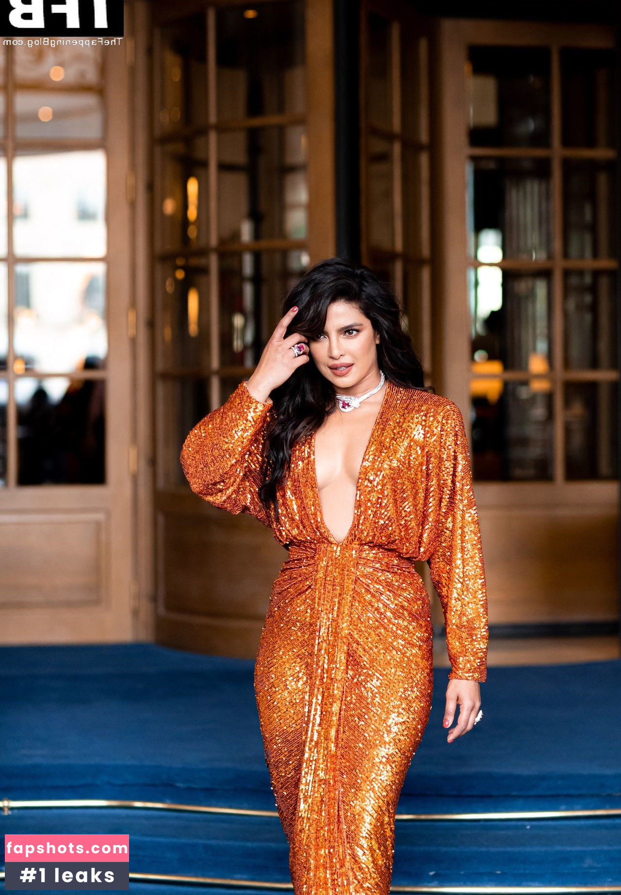 Priyanka Chopra gallery photo #215