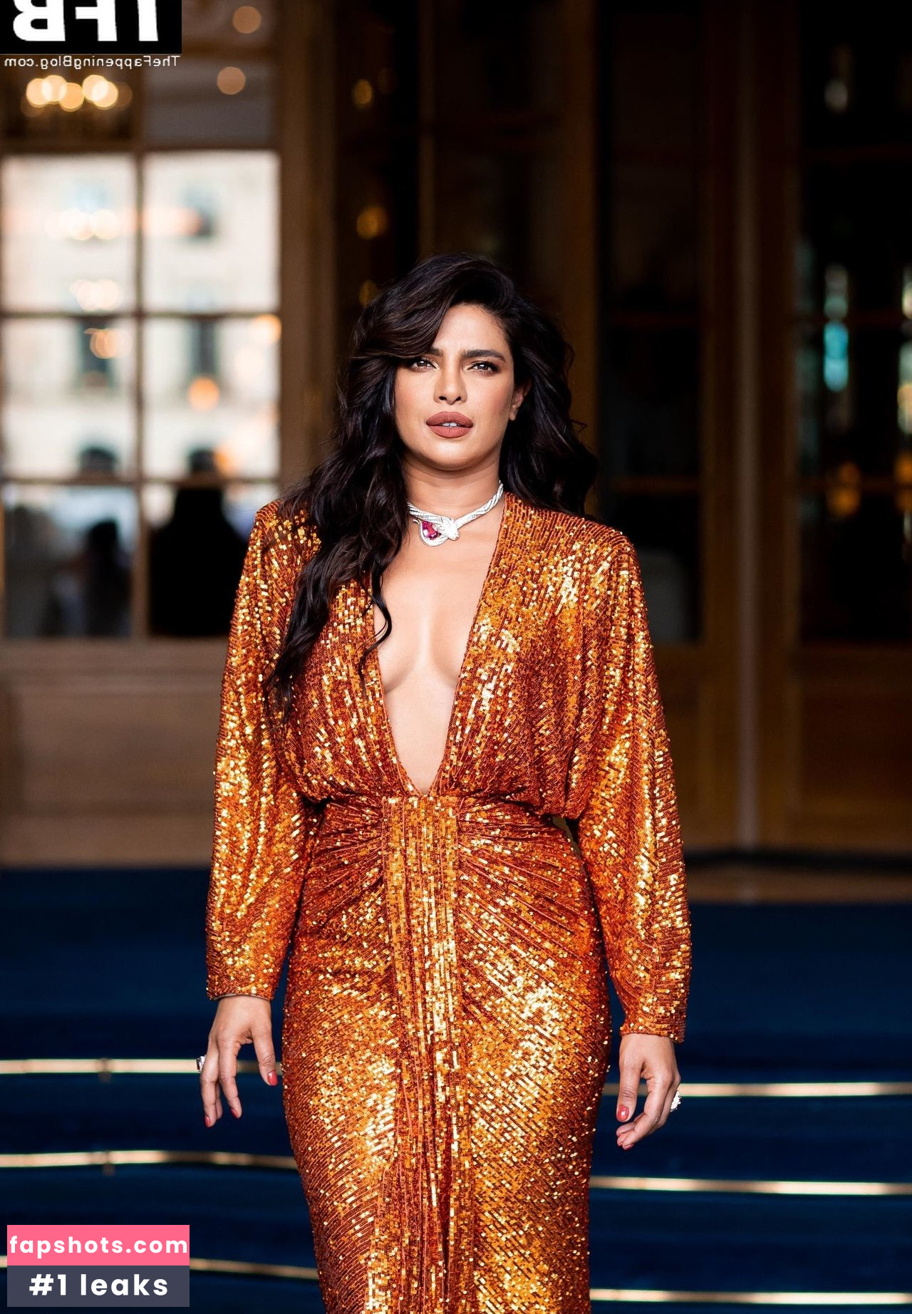 Priyanka Chopra gallery photo #216