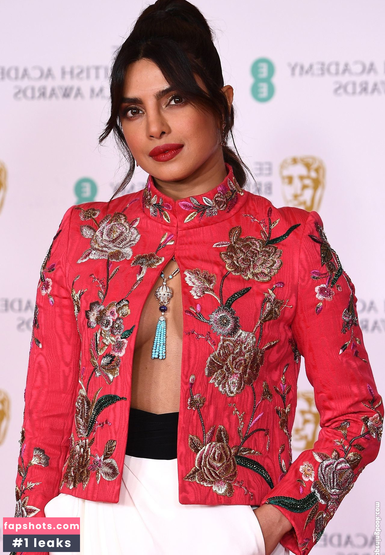 Priyanka Chopra gallery photo #232