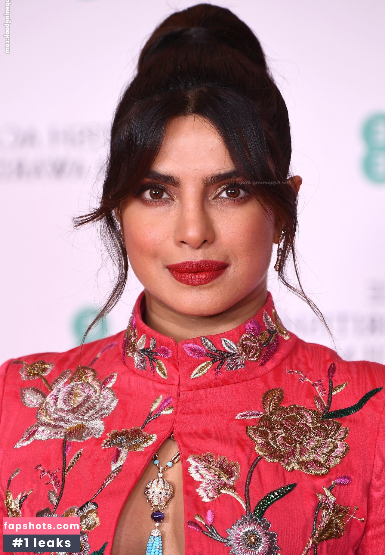 Priyanka Chopra gallery photo #233