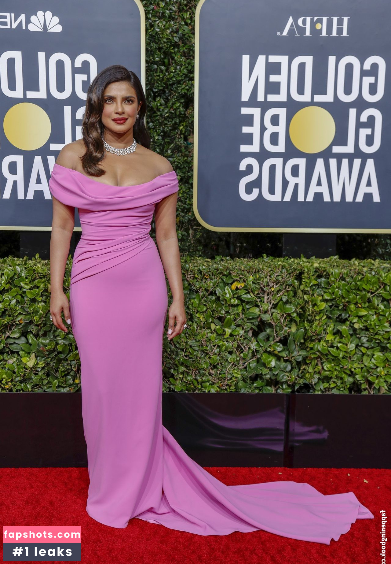 Priyanka Chopra gallery photo #237