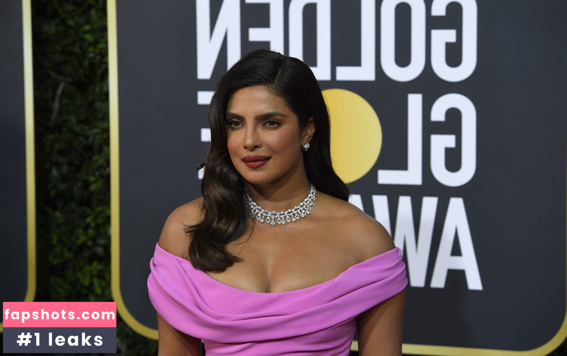 Priyanka Chopra gallery photo #239