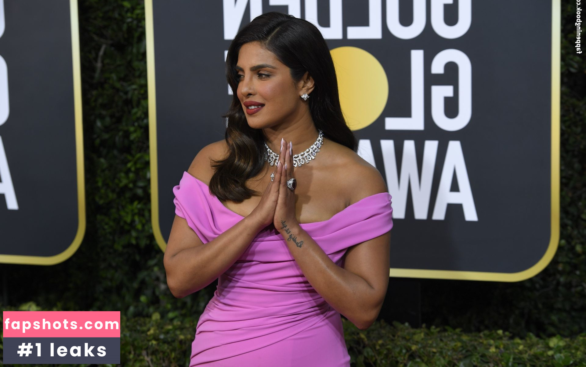 Priyanka Chopra gallery photo #240