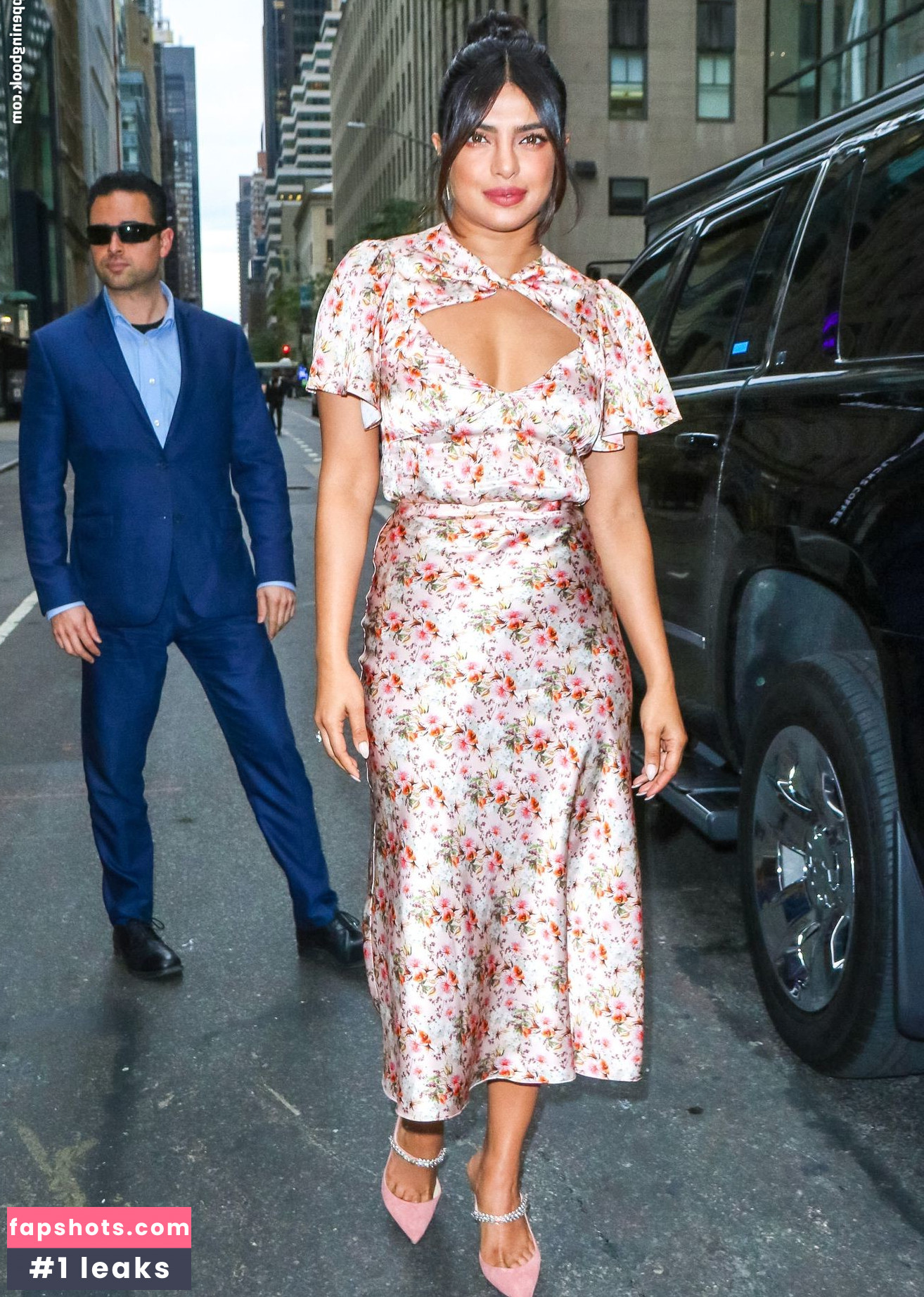 Priyanka Chopra gallery photo #243