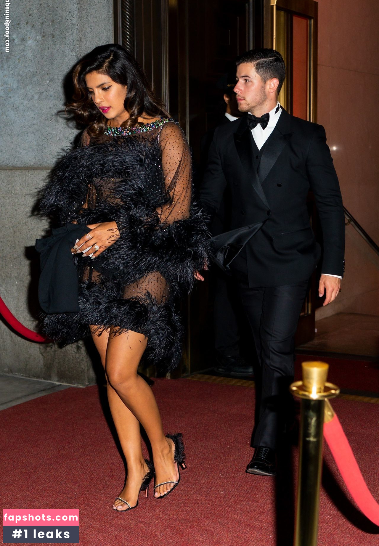 Priyanka Chopra gallery photo #245