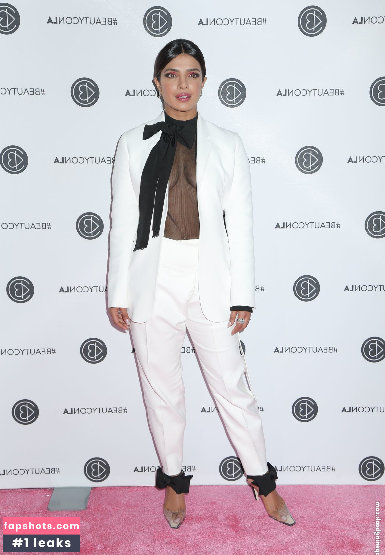 Priyanka Chopra gallery photo #253