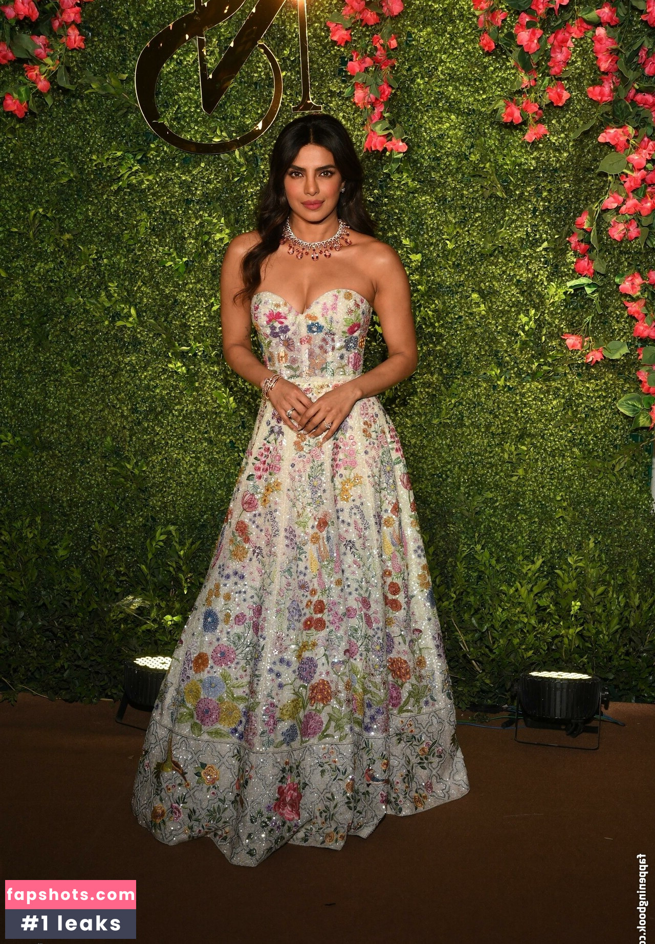 Priyanka Chopra gallery photo #27