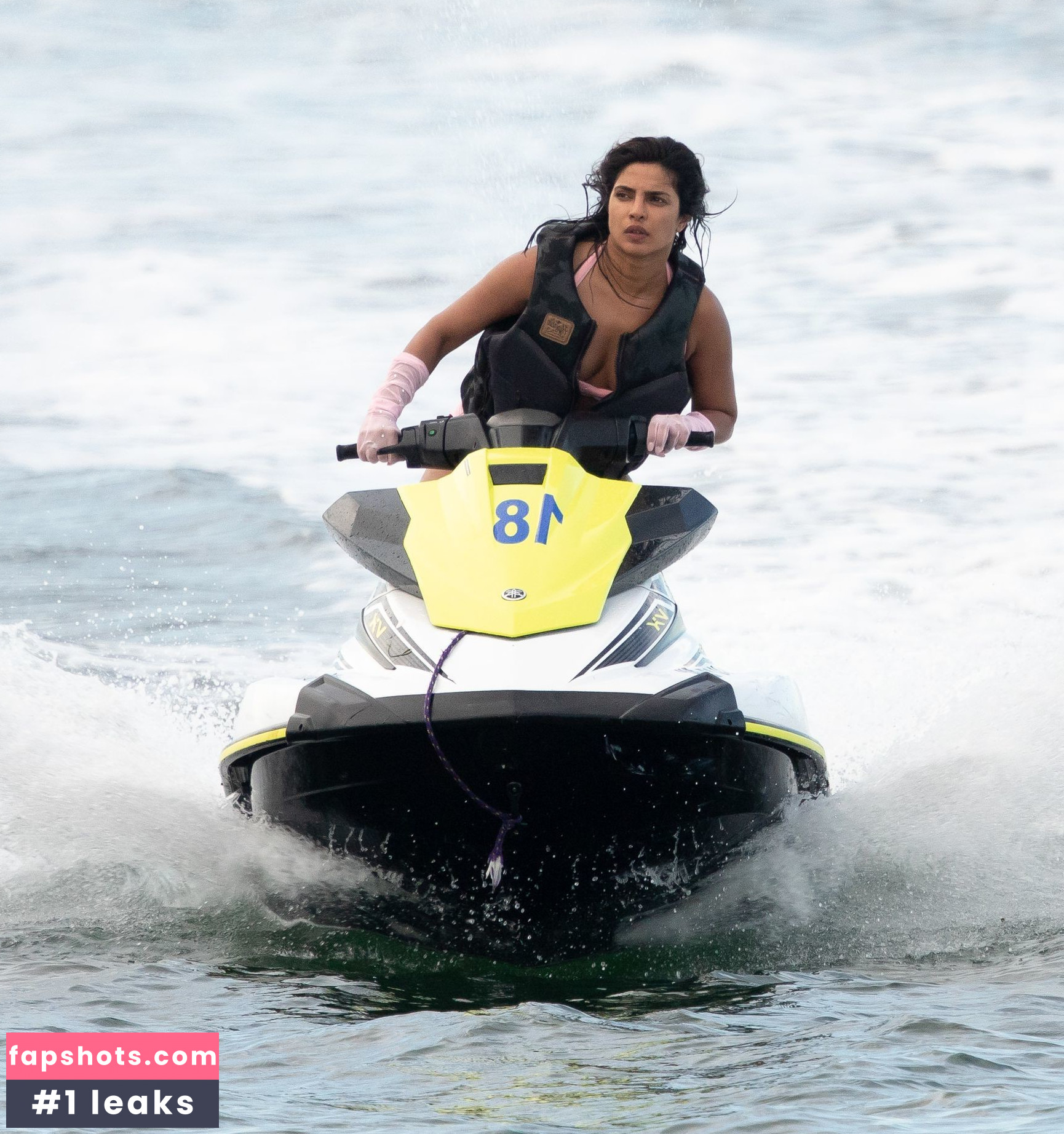 Priyanka Chopra gallery photo #275