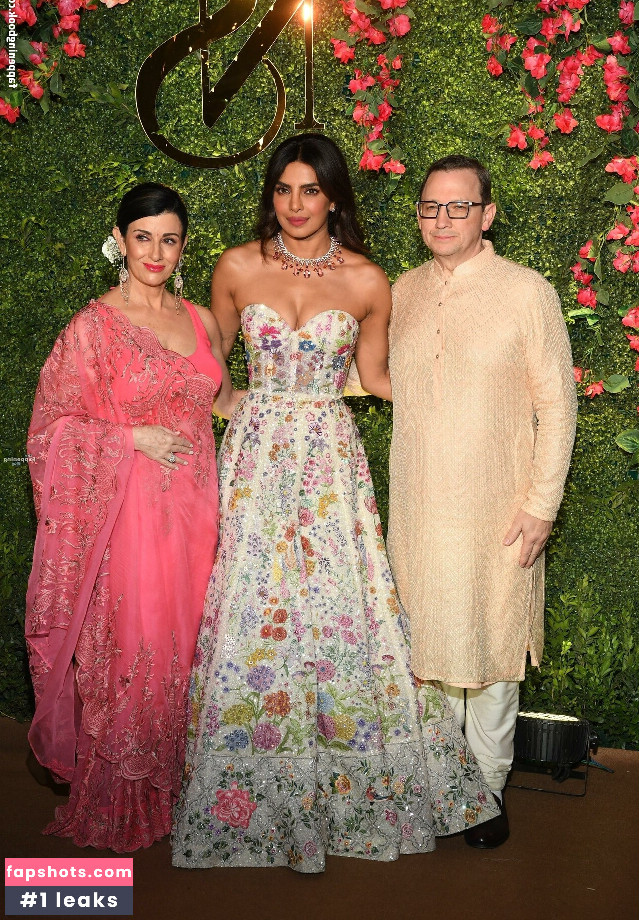 Priyanka Chopra gallery photo #29