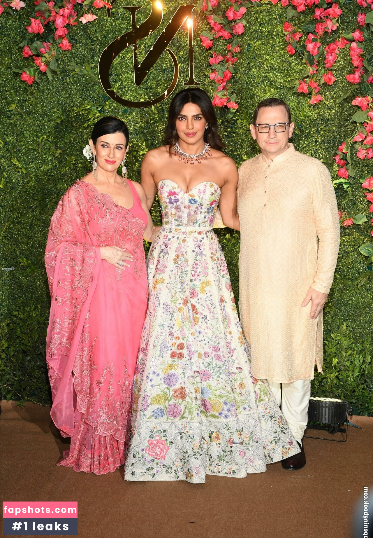 Priyanka Chopra gallery photo #30