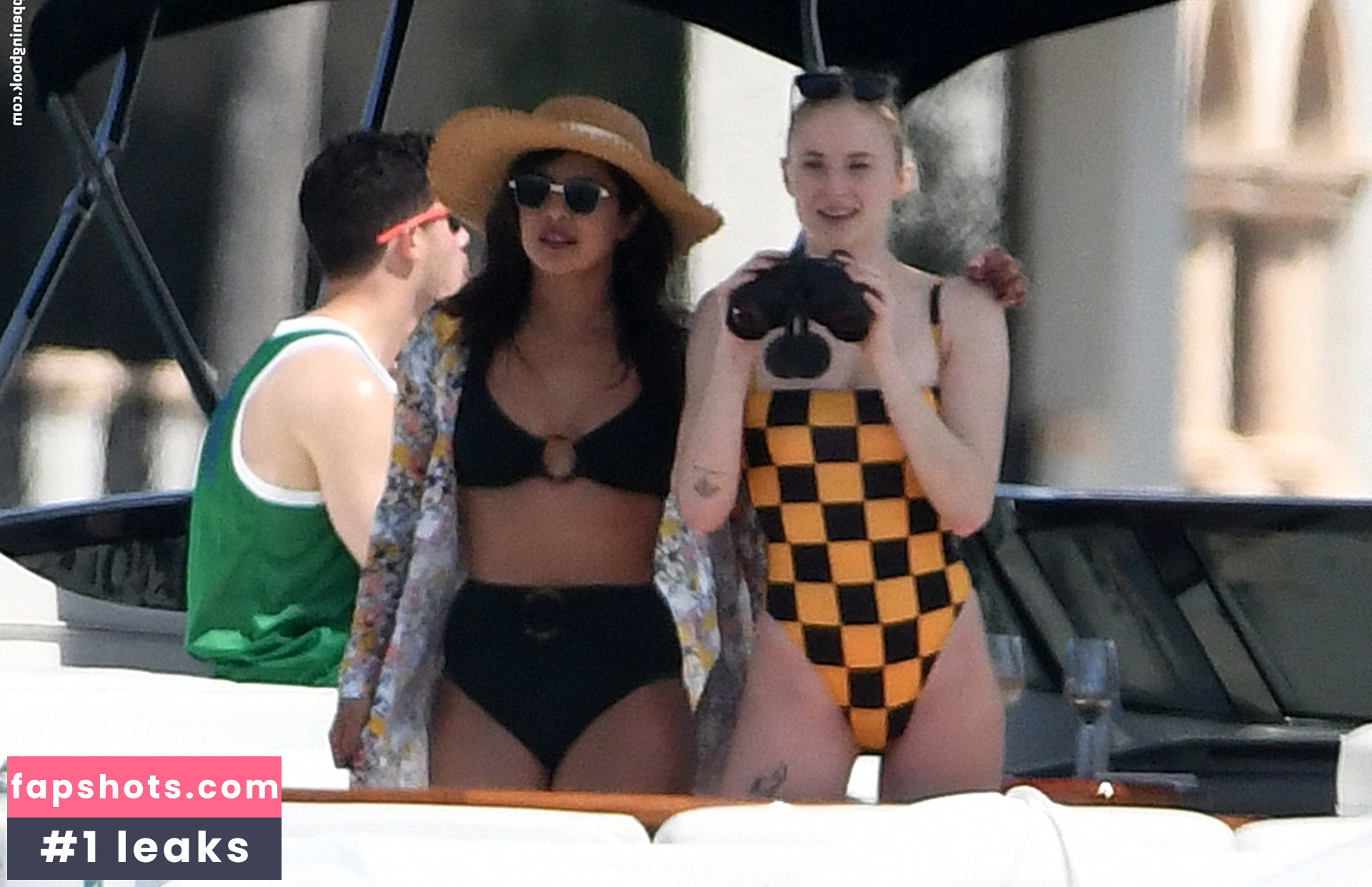 Priyanka Chopra gallery photo #315