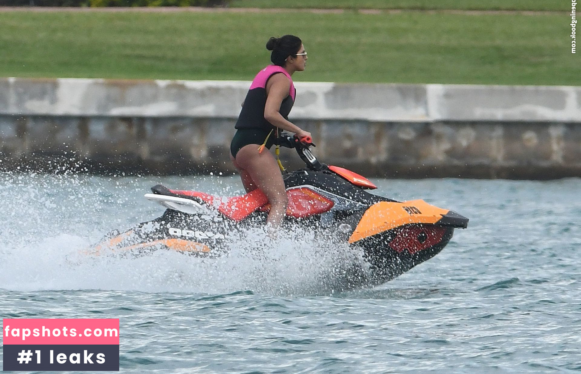 Priyanka Chopra gallery photo #324