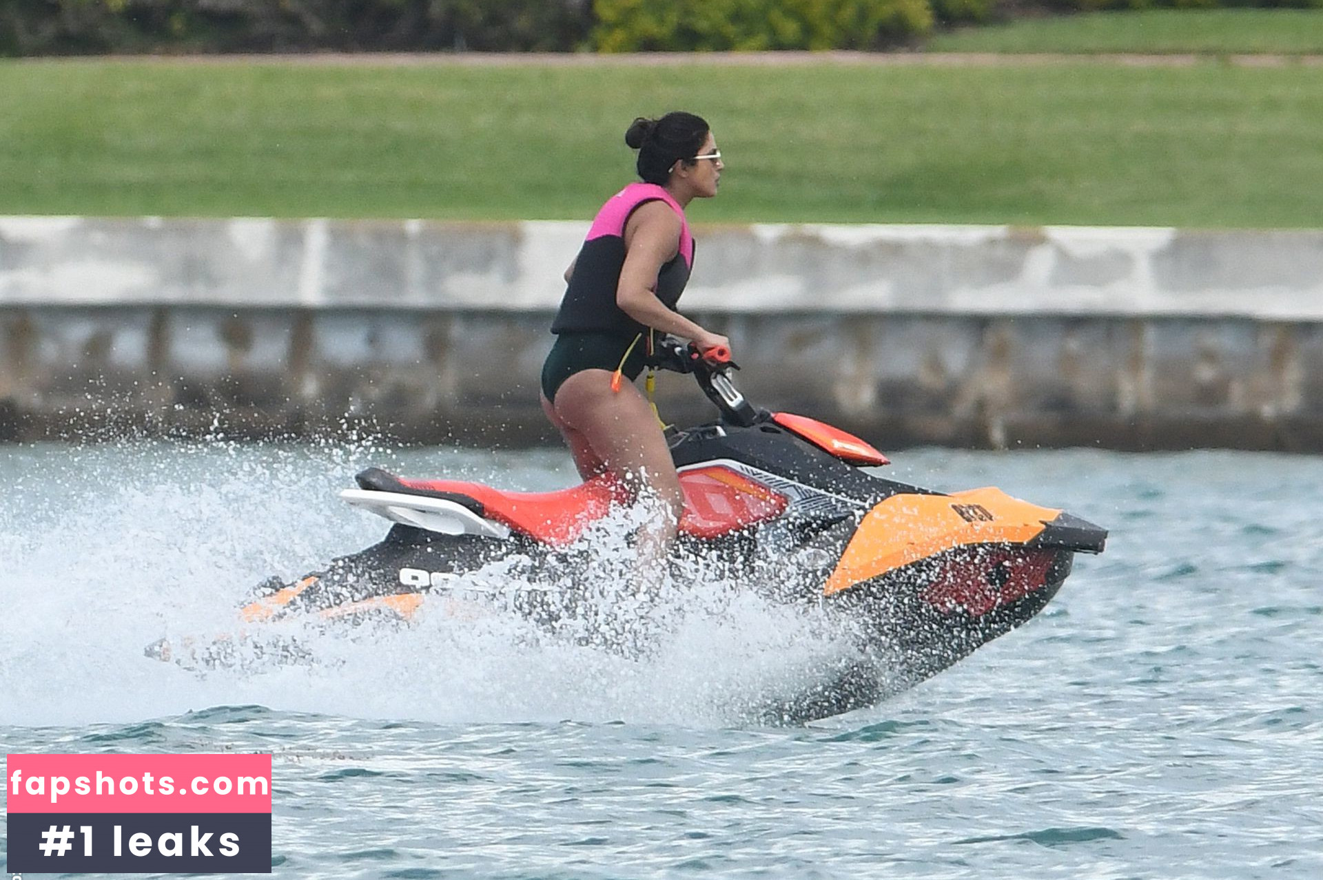 Priyanka Chopra gallery photo #325