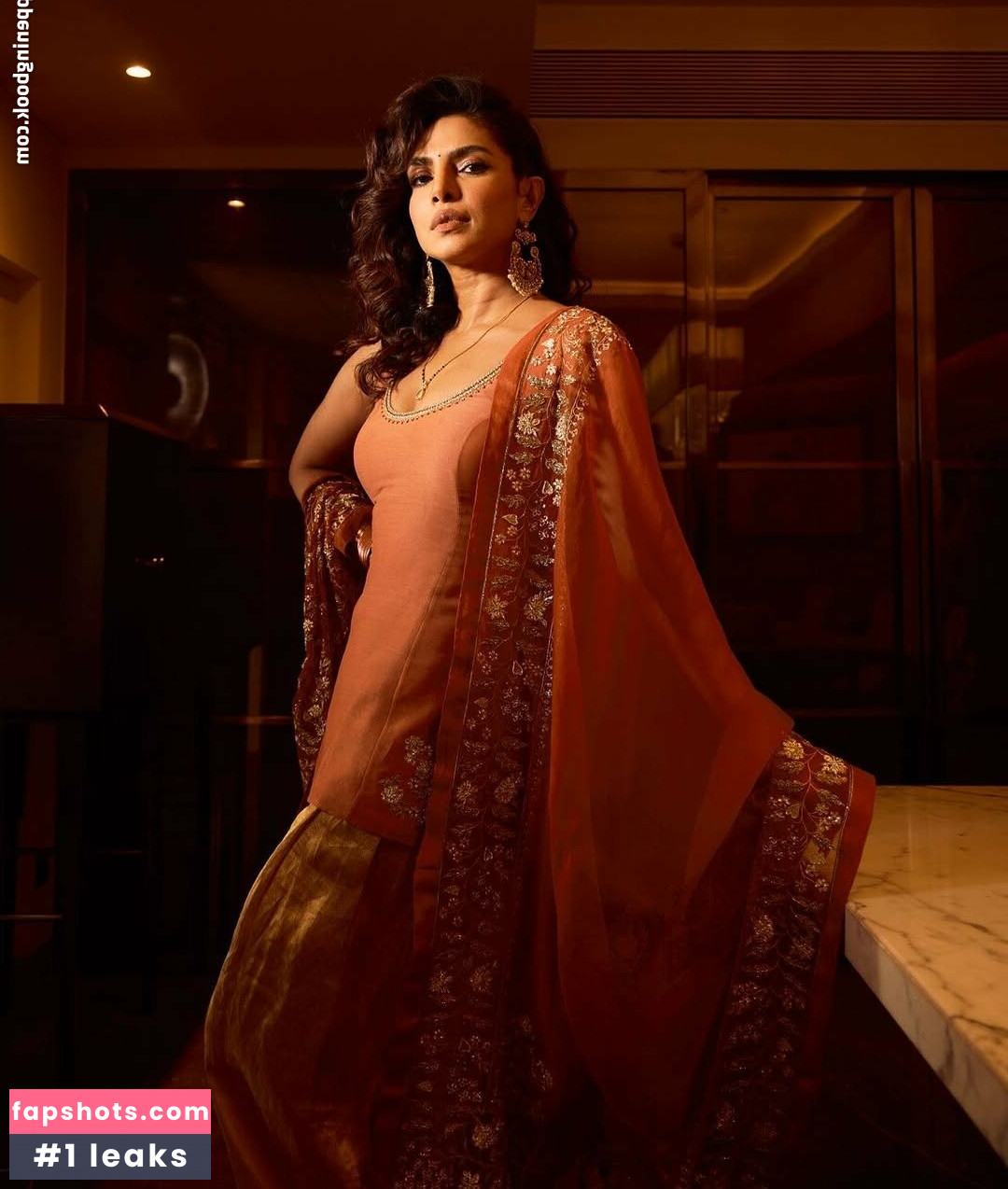 Priyanka Chopra gallery photo #5