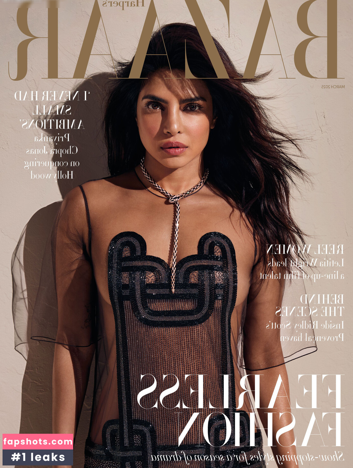 Priyanka Chopra gallery photo #56