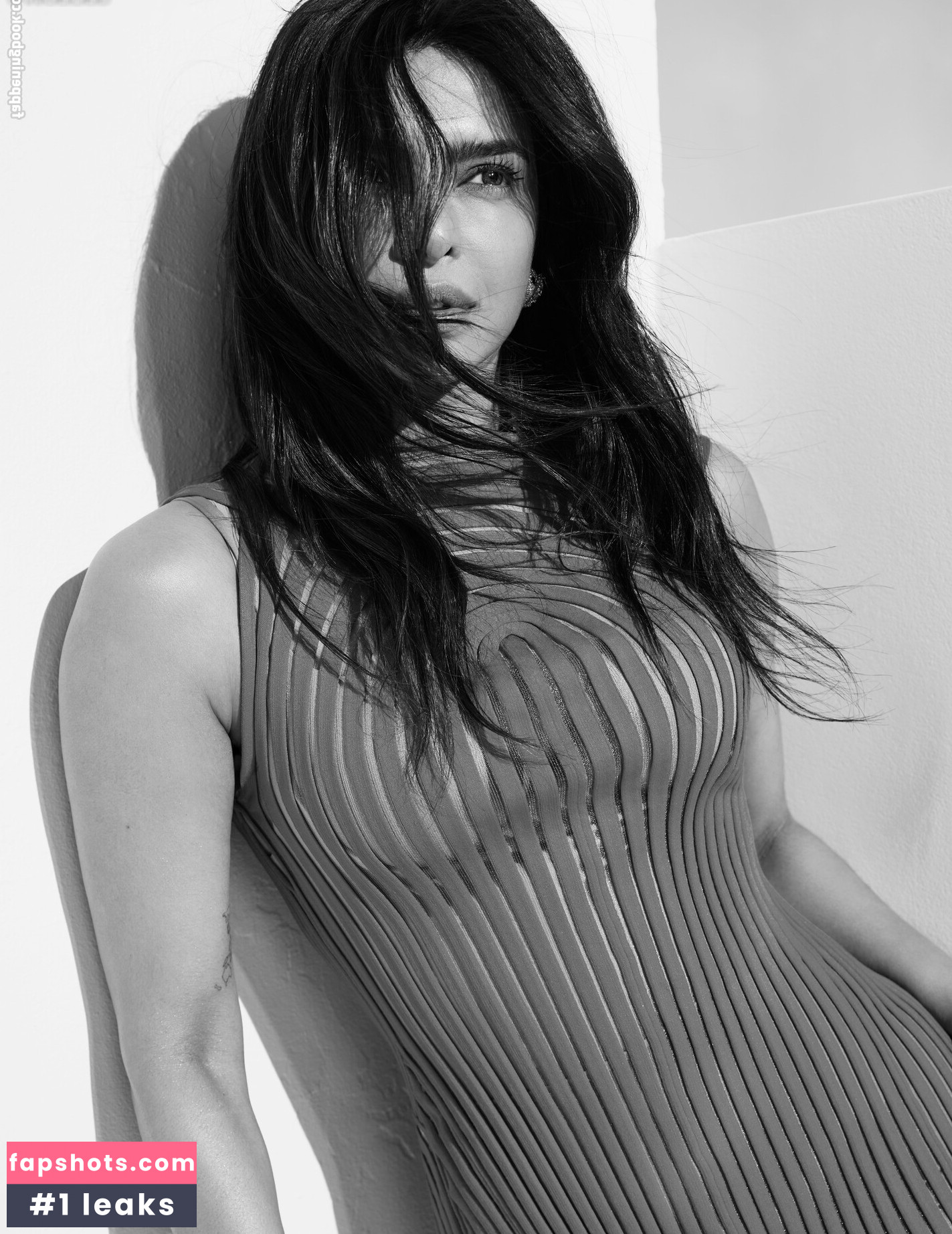 Priyanka Chopra gallery photo #57