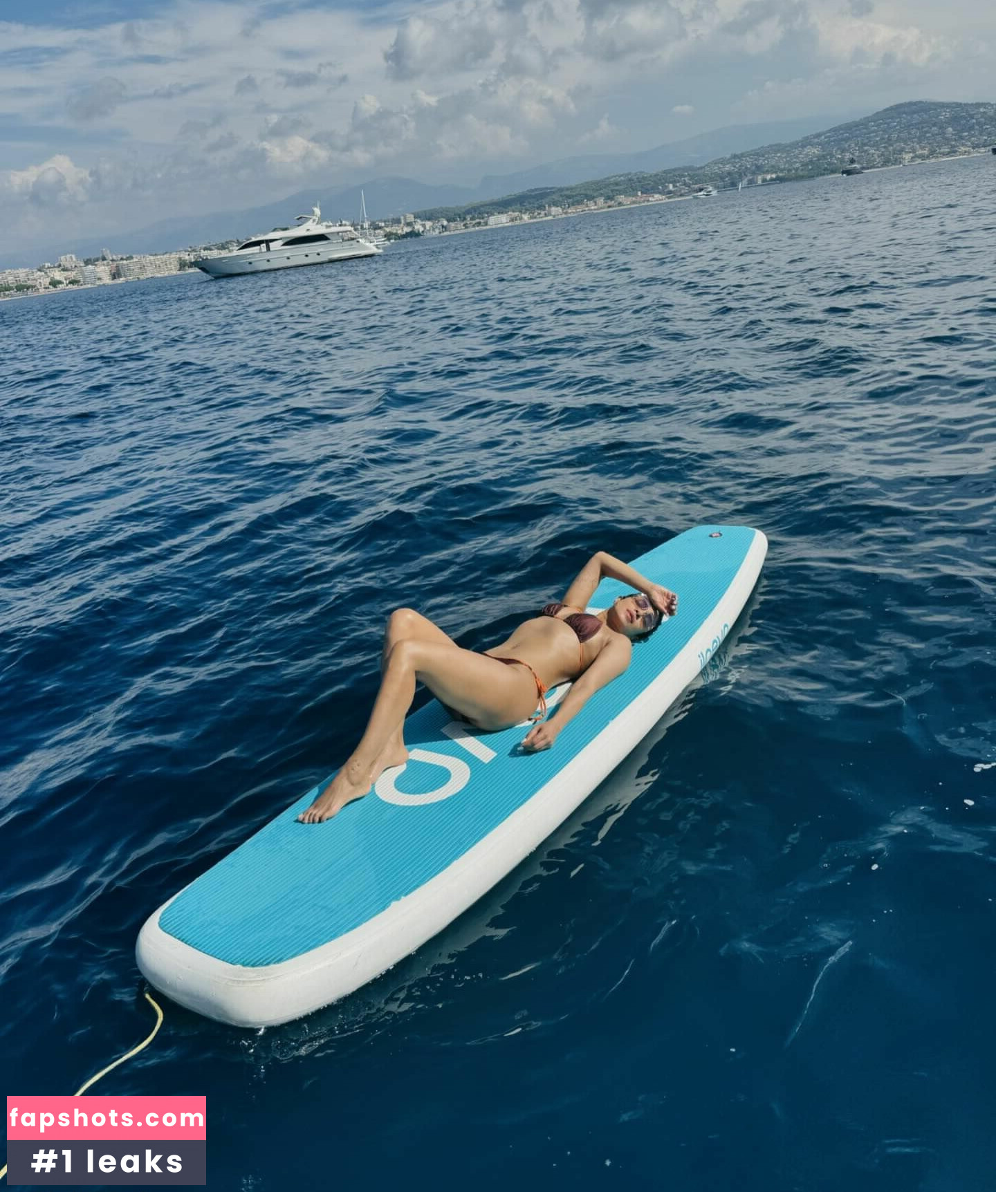 Priyanka Chopra gallery photo #90