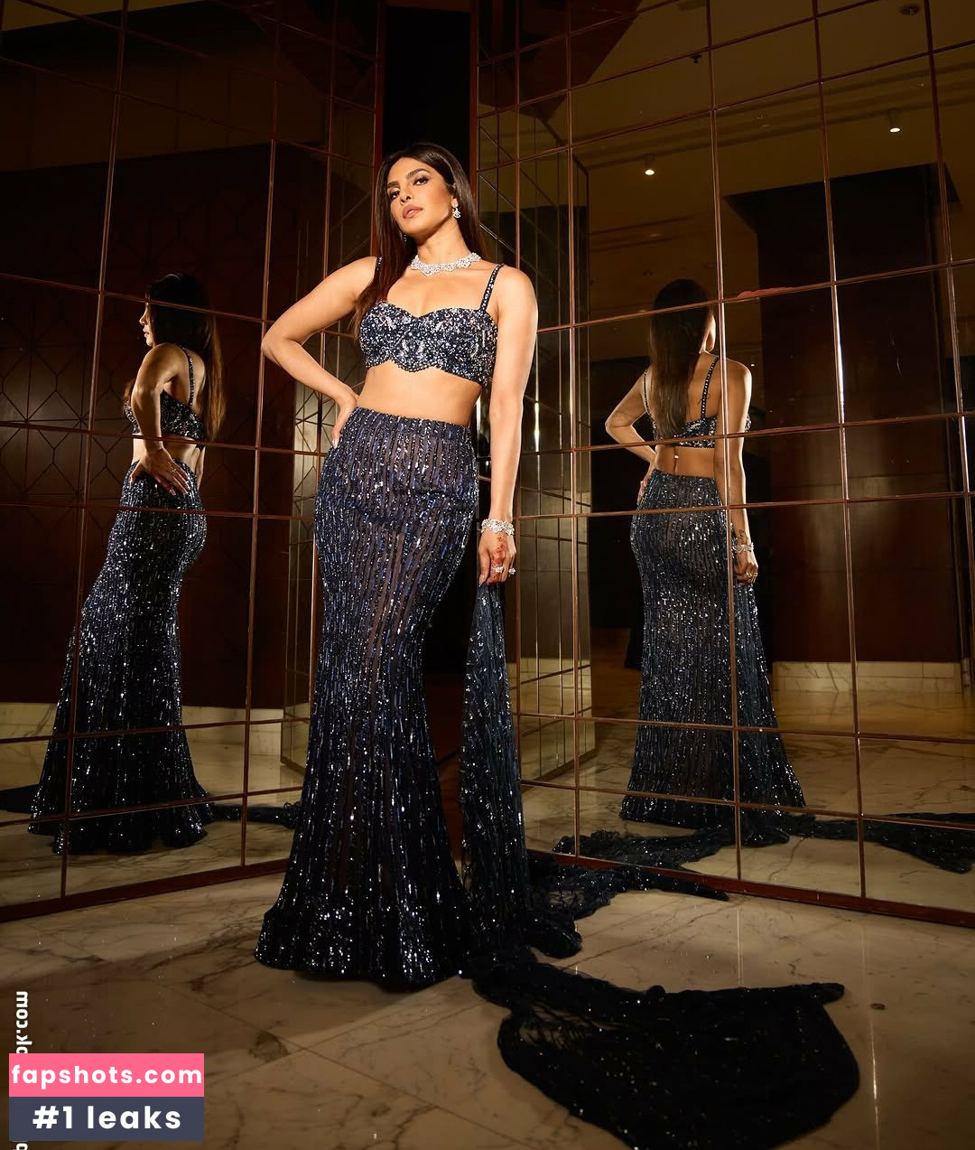 Priyanka Chopra gallery photo #10