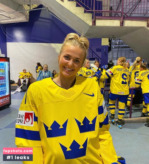 Professional Athletes gallery photo #2559