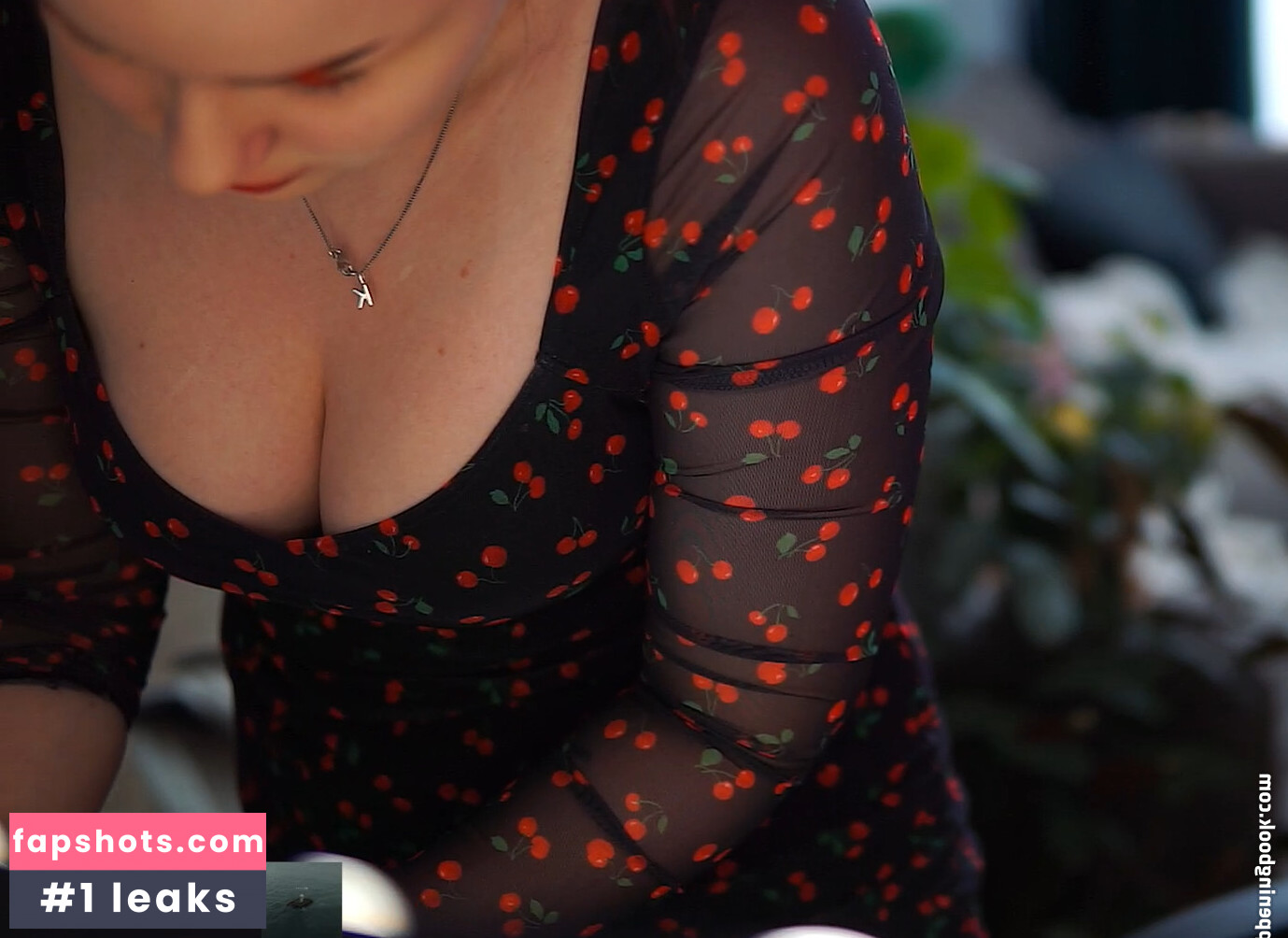 Proxyfox gallery photo #39