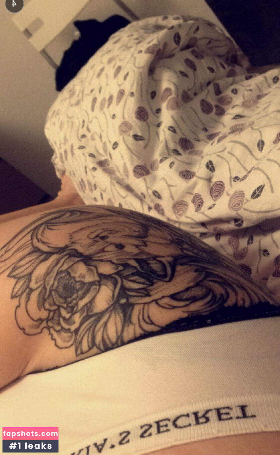 Proxyfox gallery photo #56