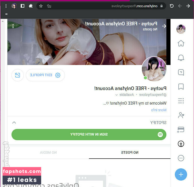 puchys gallery photo #27