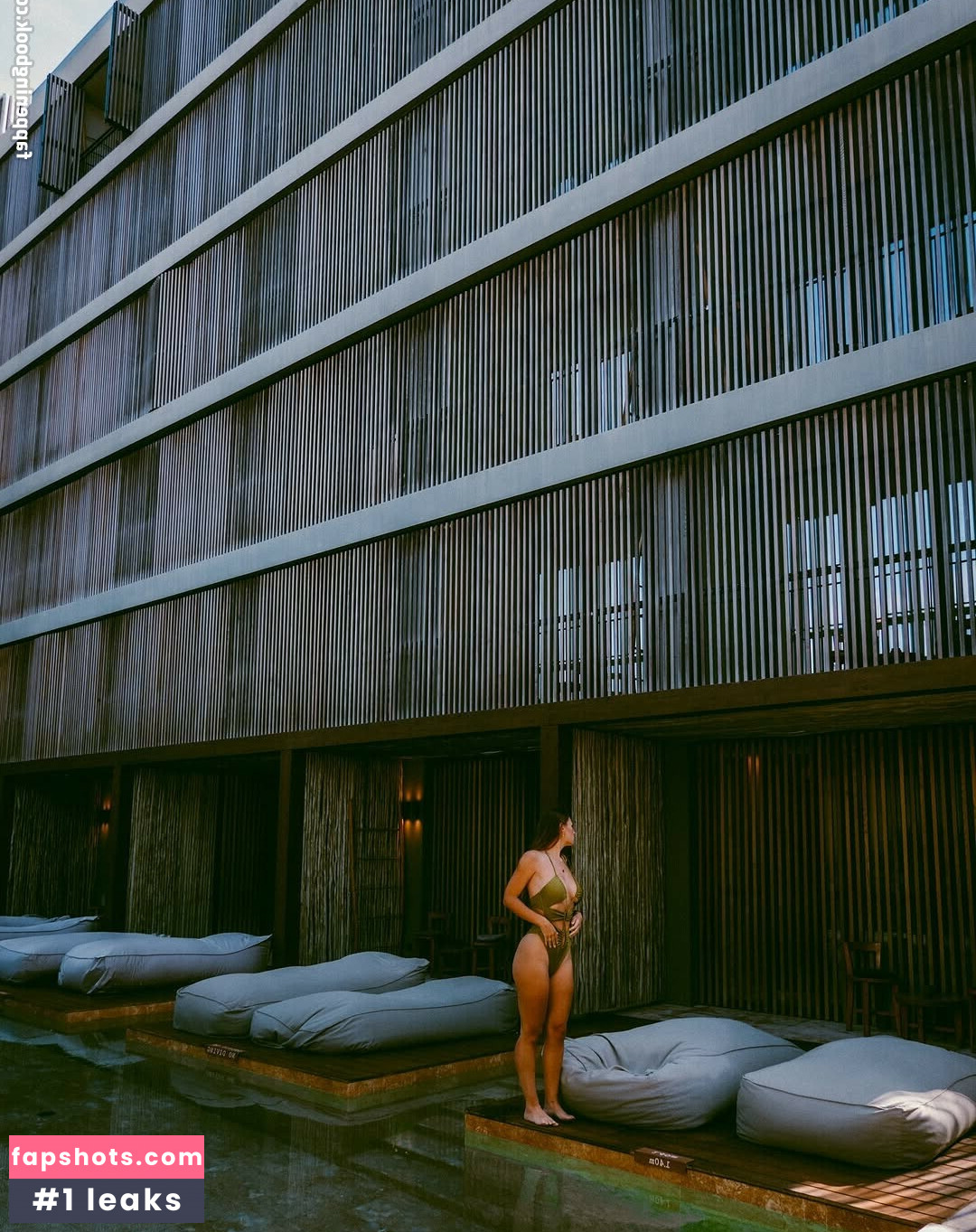 Puckmoonen gallery photo #2