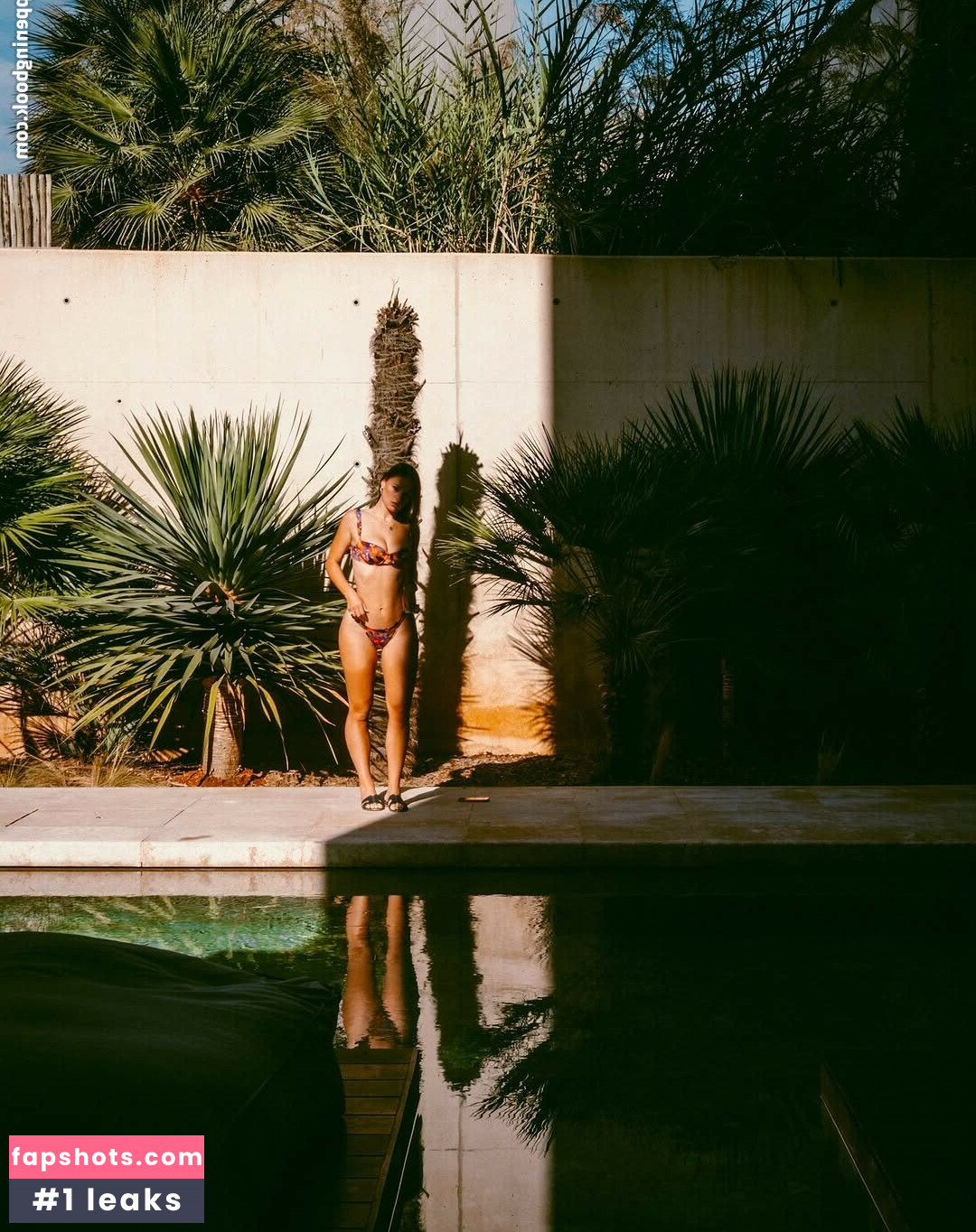 Puckmoonen gallery photo #5