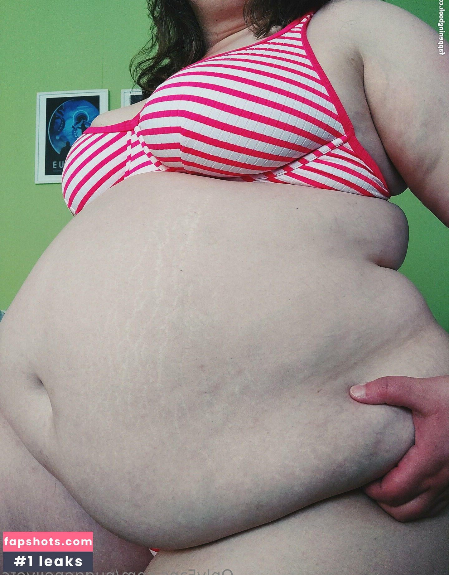 pudgebellyofc gallery photo #2