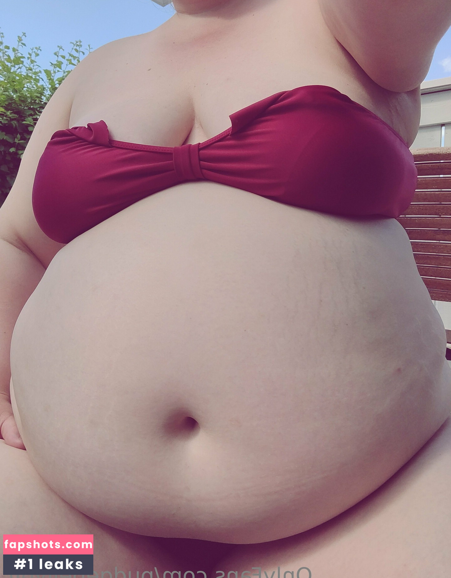 pudgebellyofc gallery photo #11