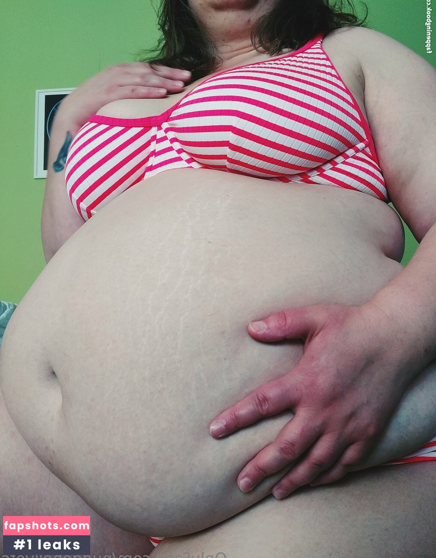 pudgebellyofc gallery photo #7