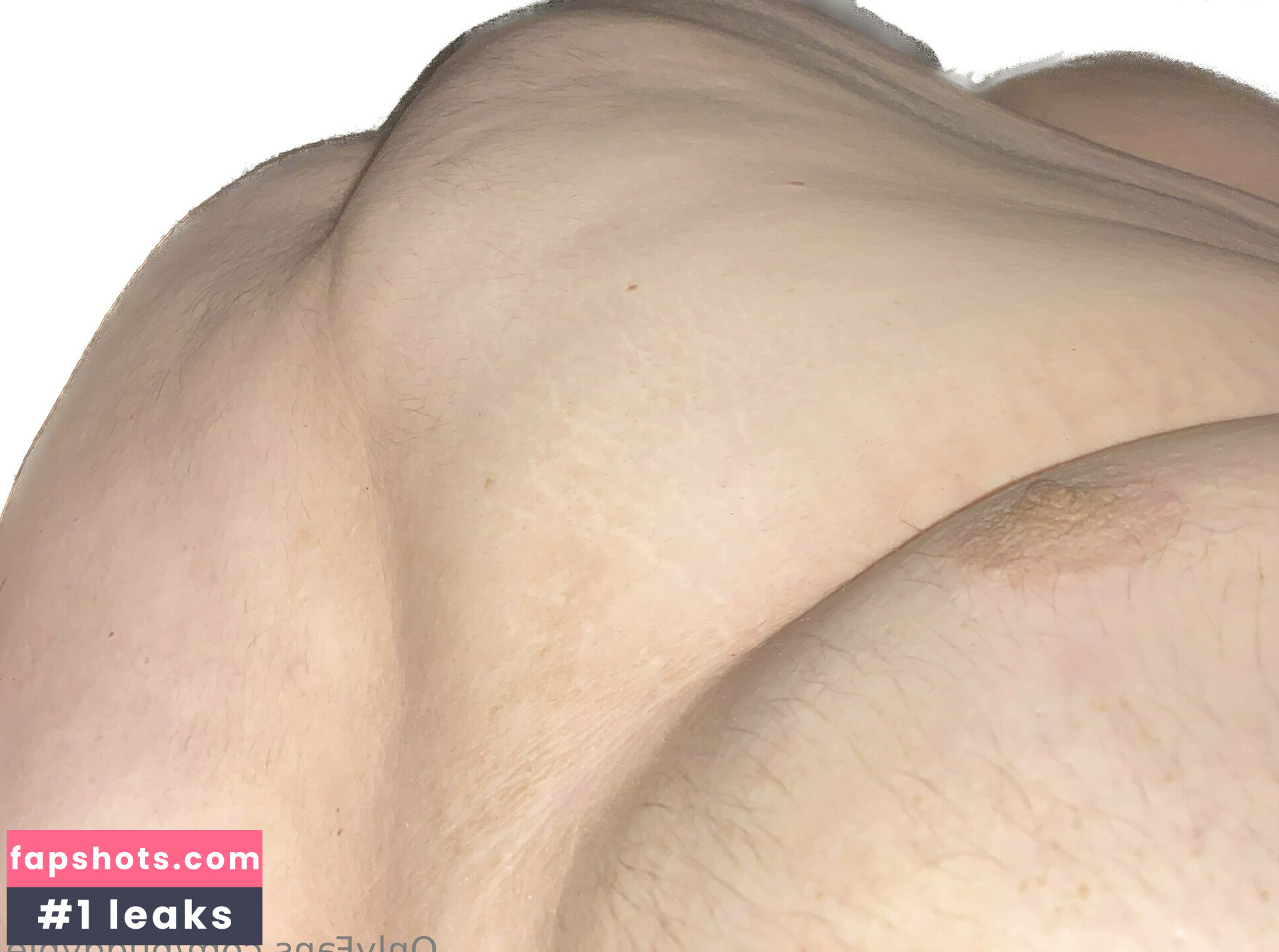 pudgypie gallery photo #2