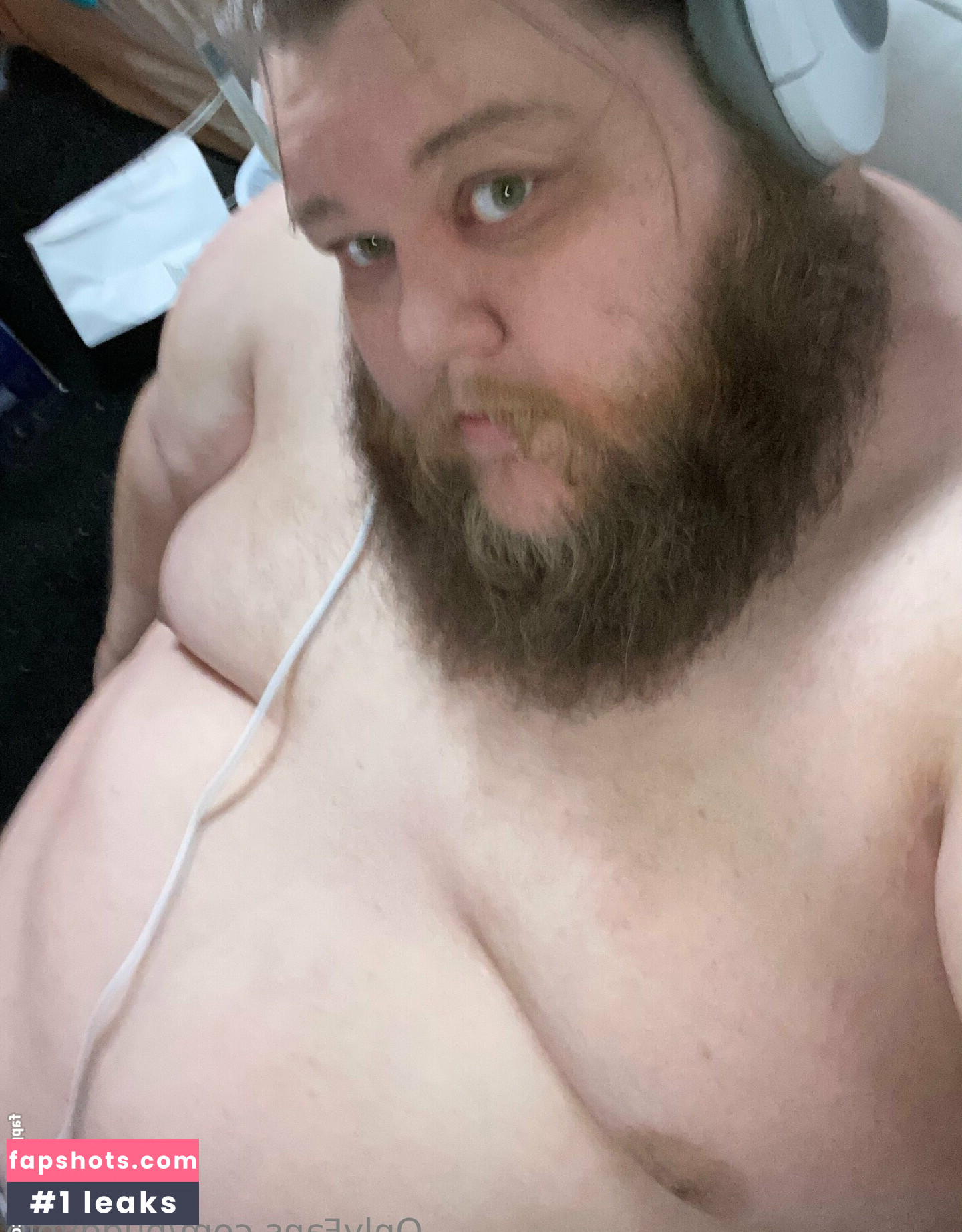 pudgypie gallery photo #12