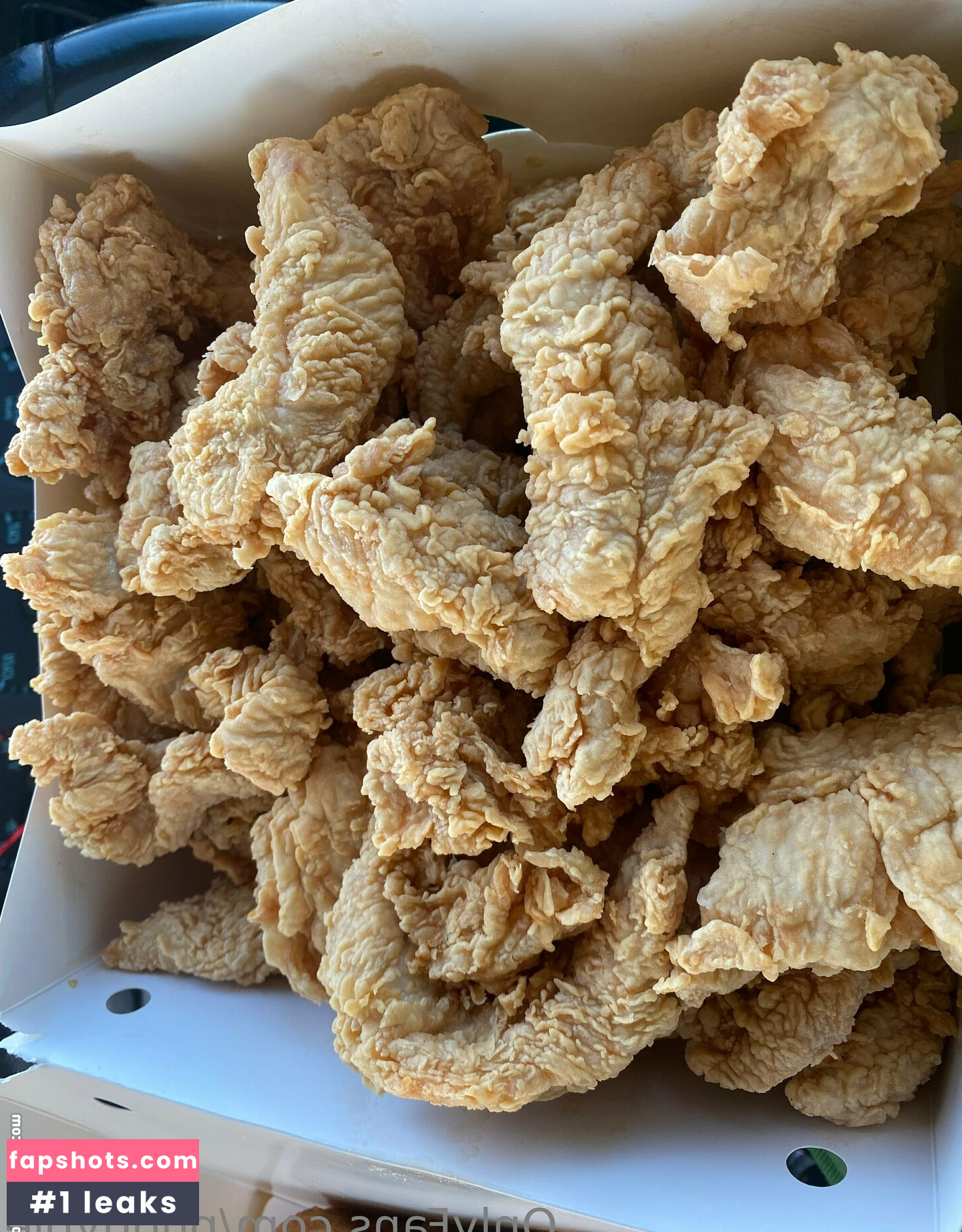 pudgypie gallery photo #13