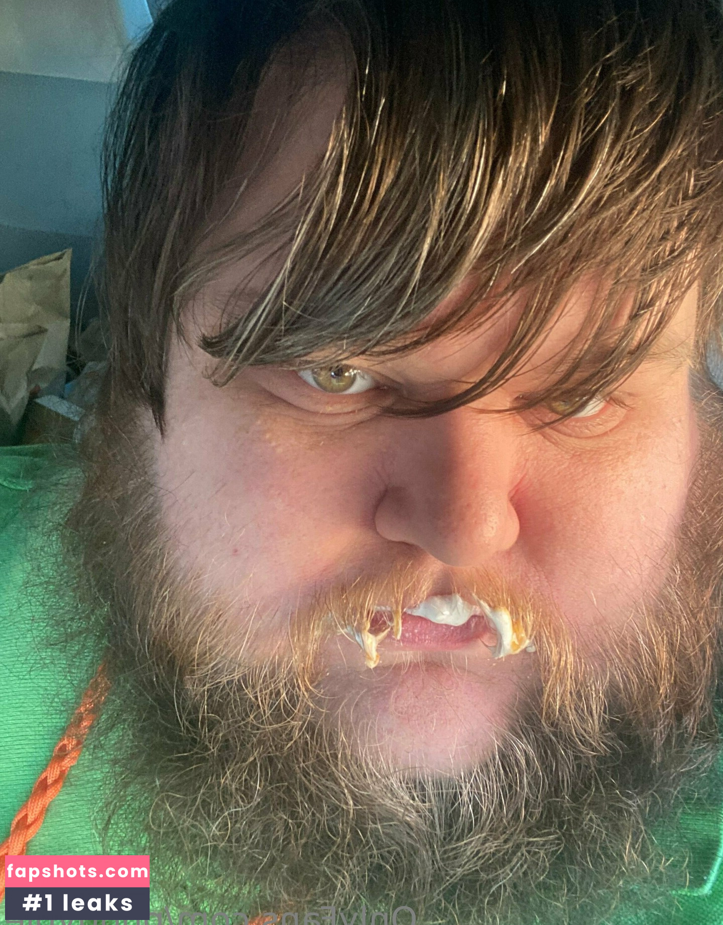 pudgypie gallery photo #5